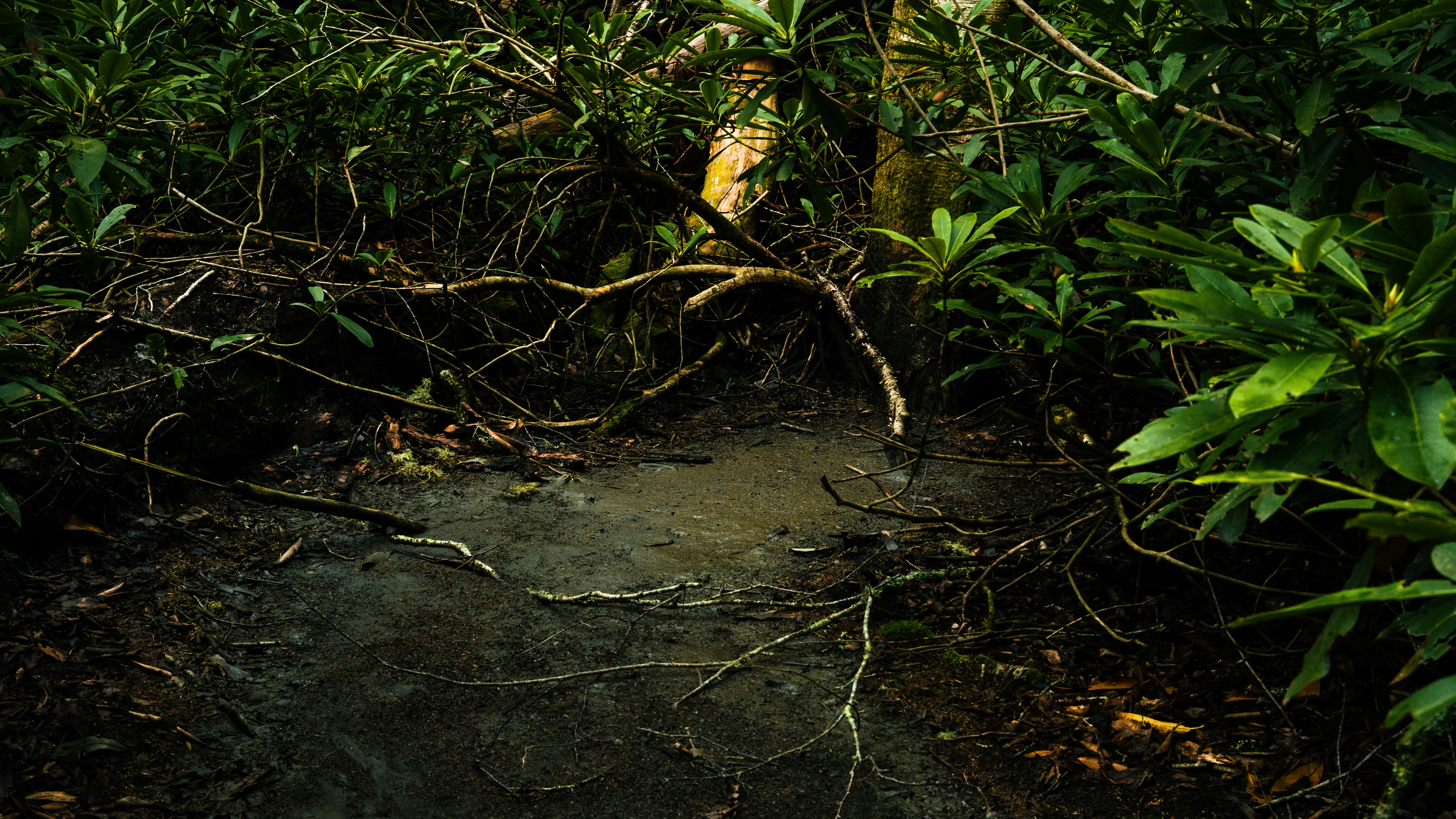 Photo by calebflores_photo