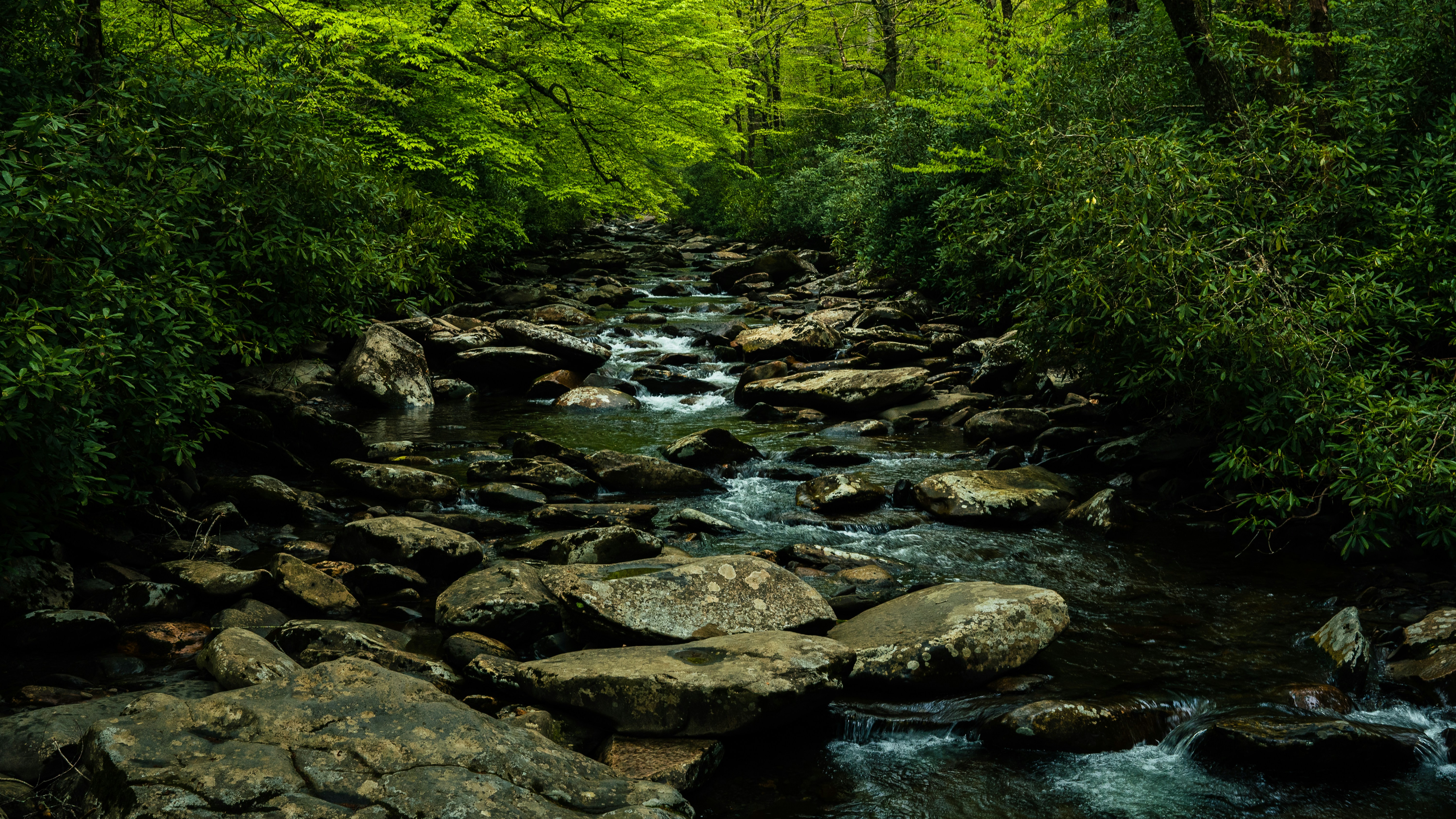 Photo by calebflores_photo