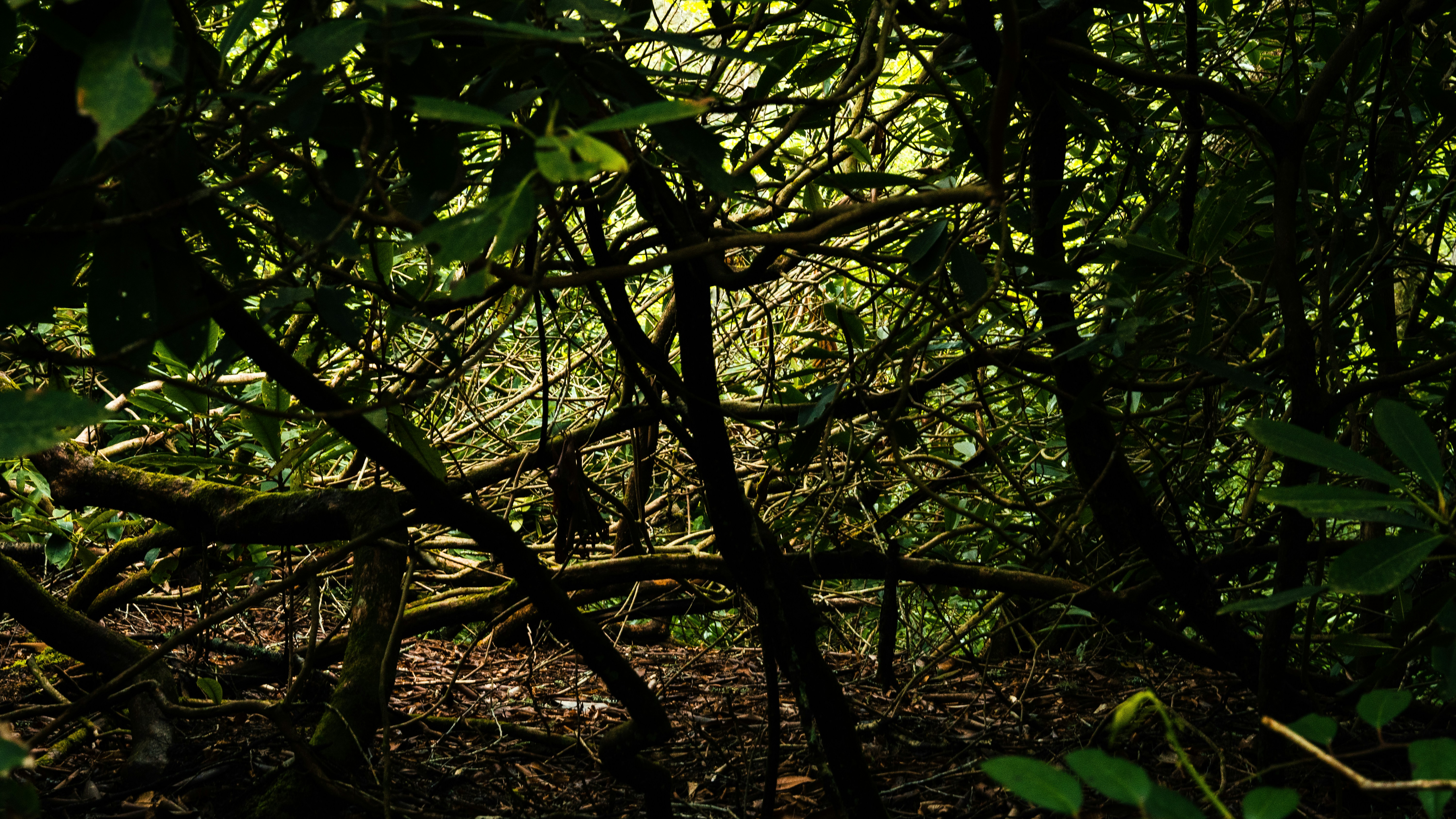 Photo by calebflores_photo