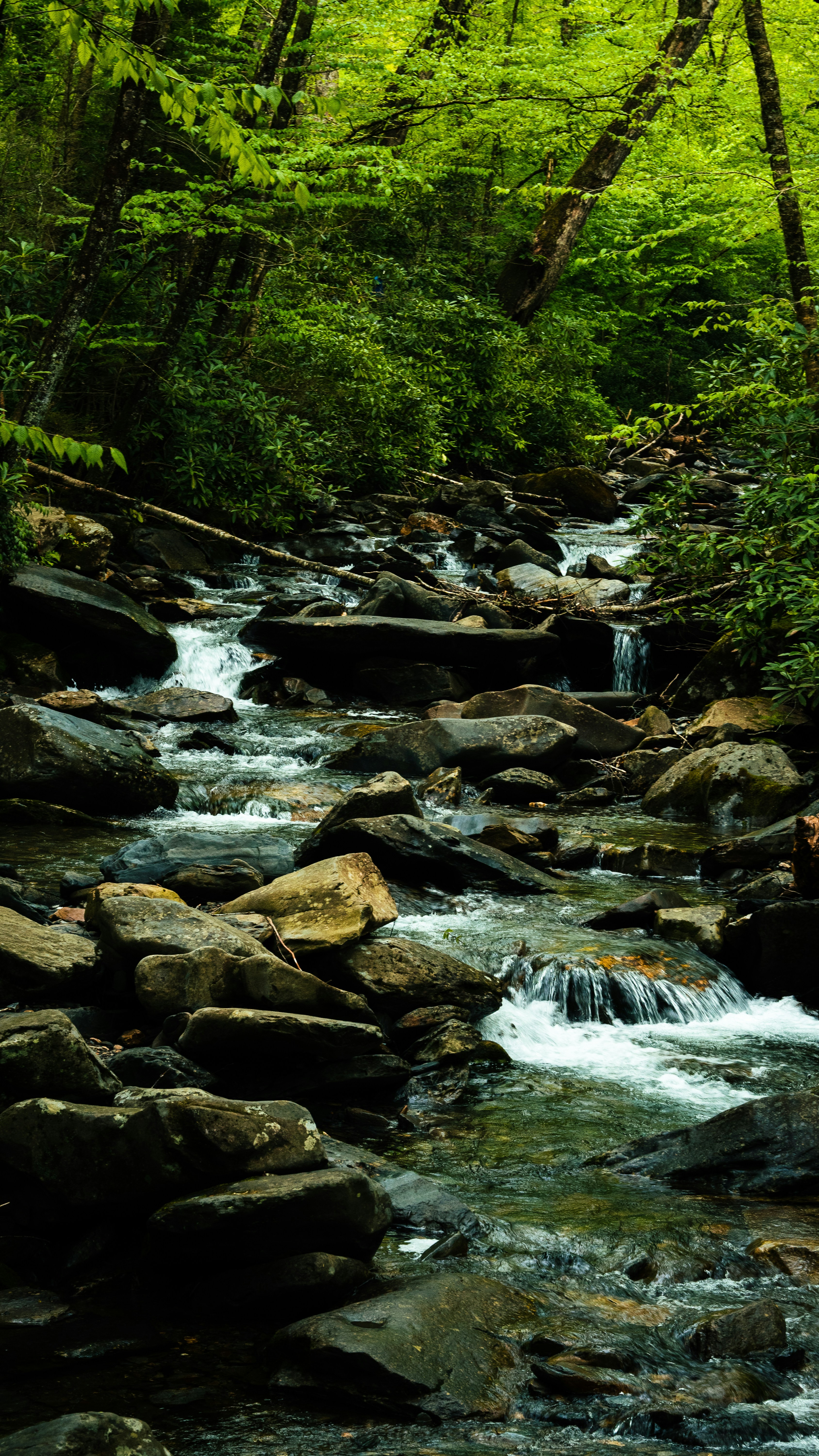 Photo by calebflores_photo