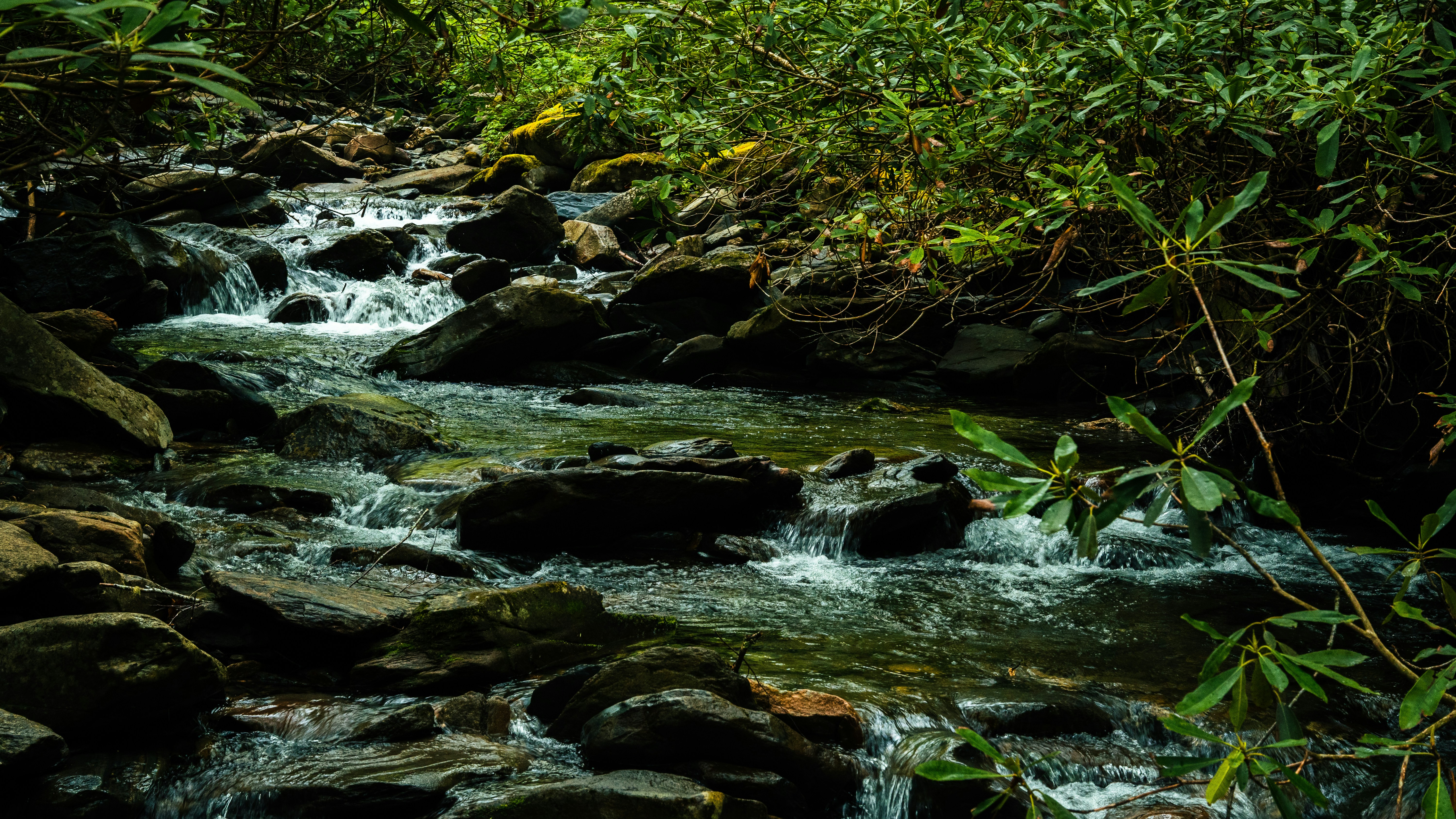 Photo by calebflores_photo