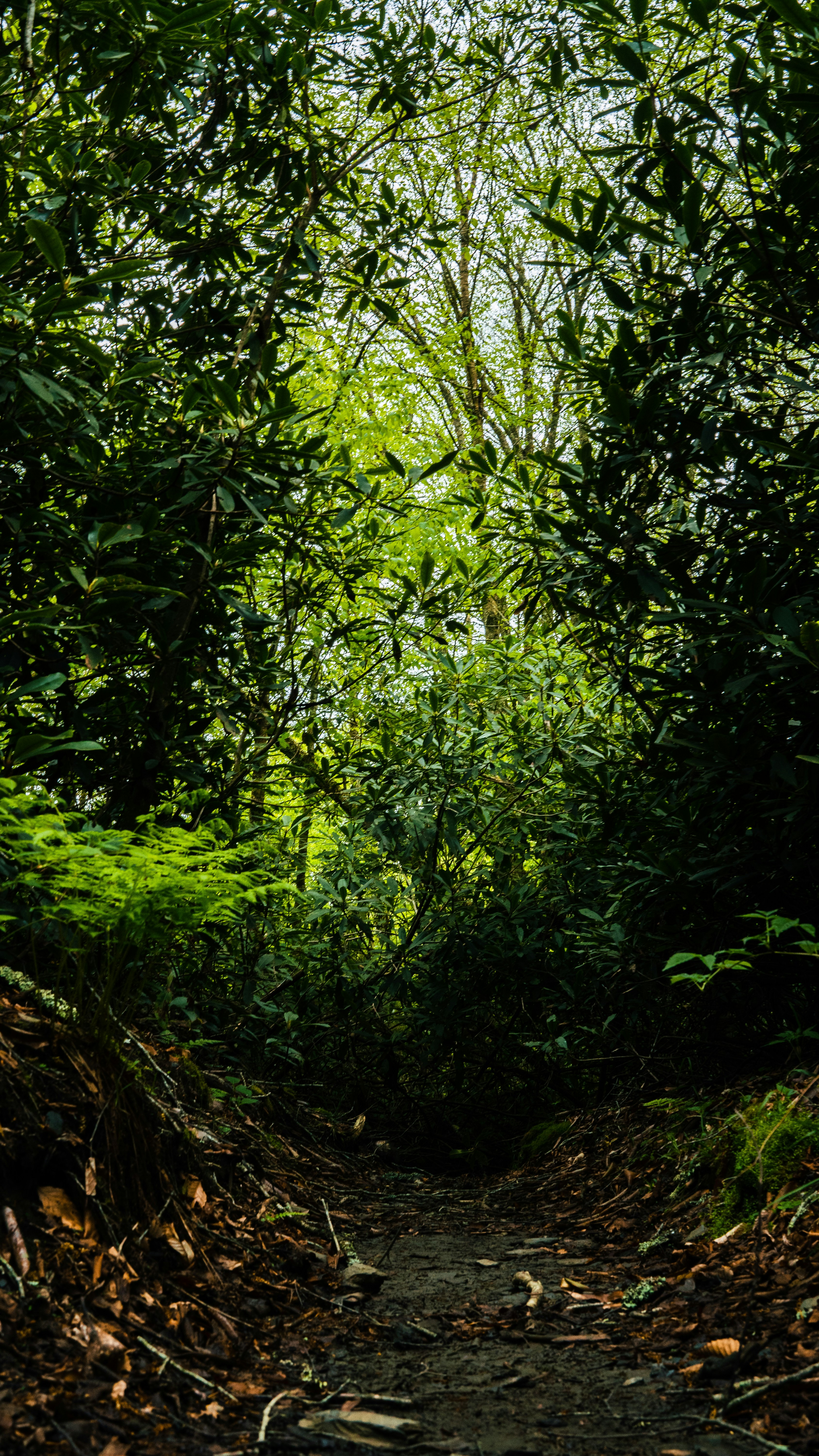 Photo by calebflores_photo