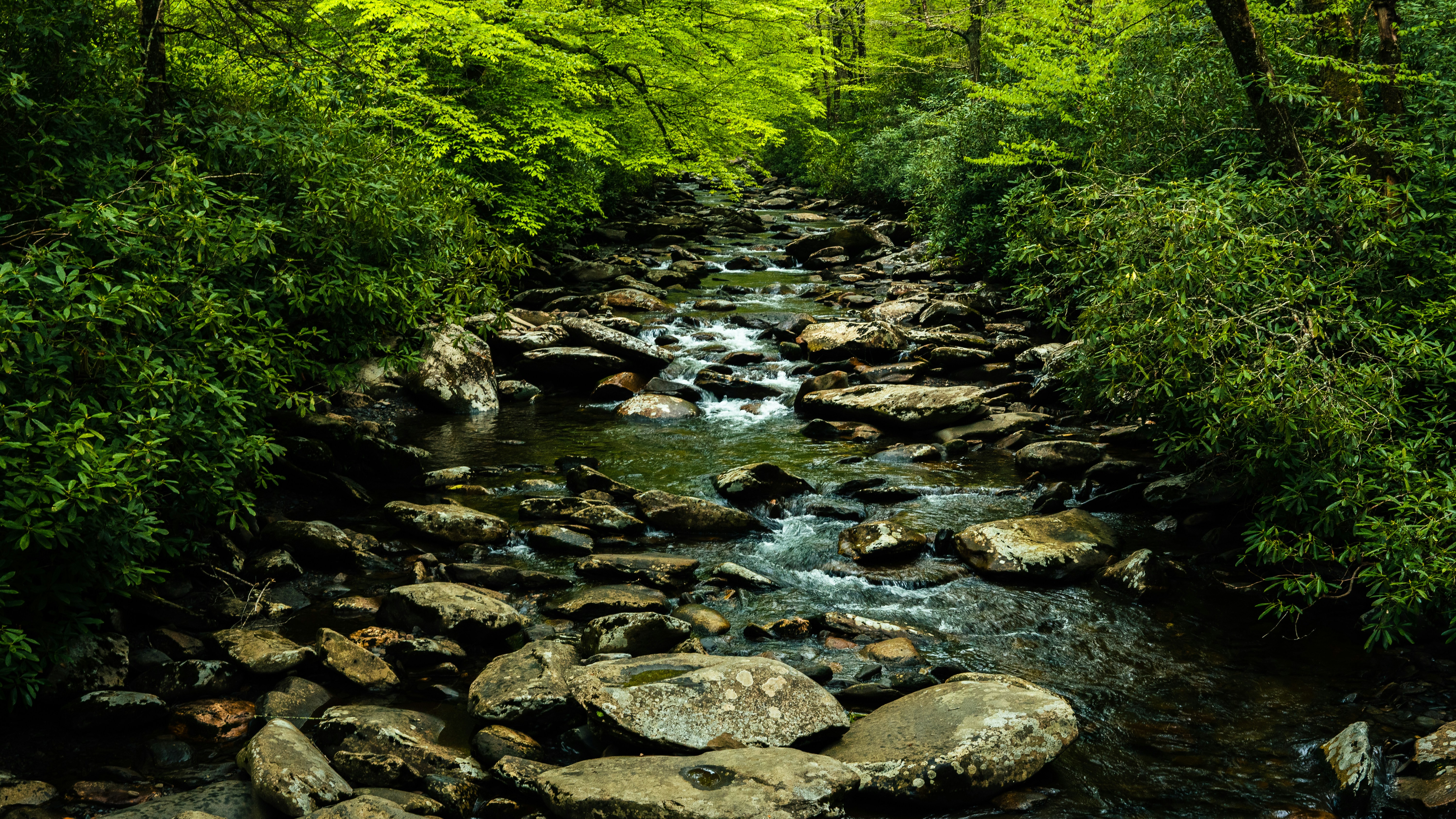 Photo by calebflores_photo