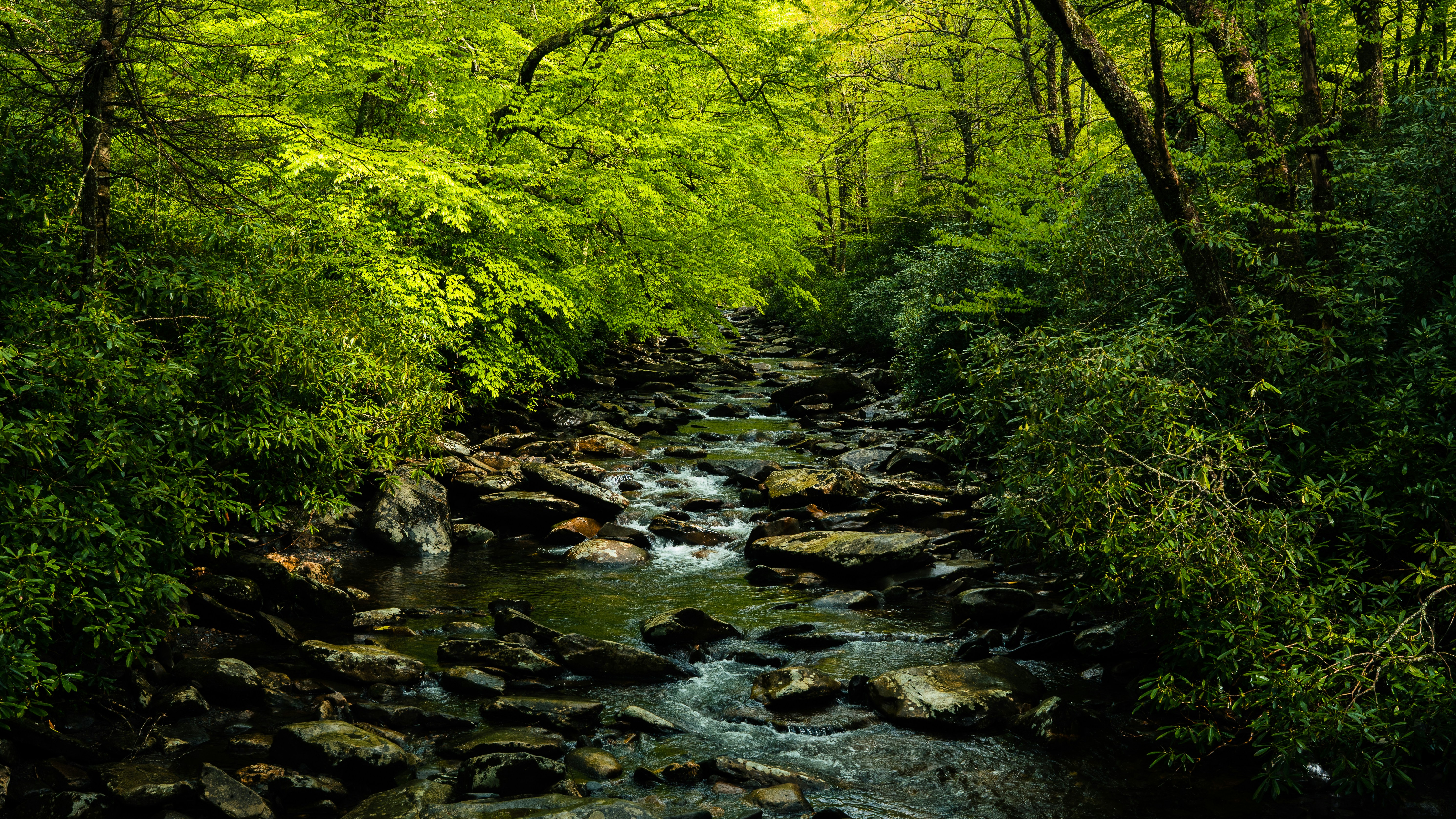 Photo by calebflores_photo