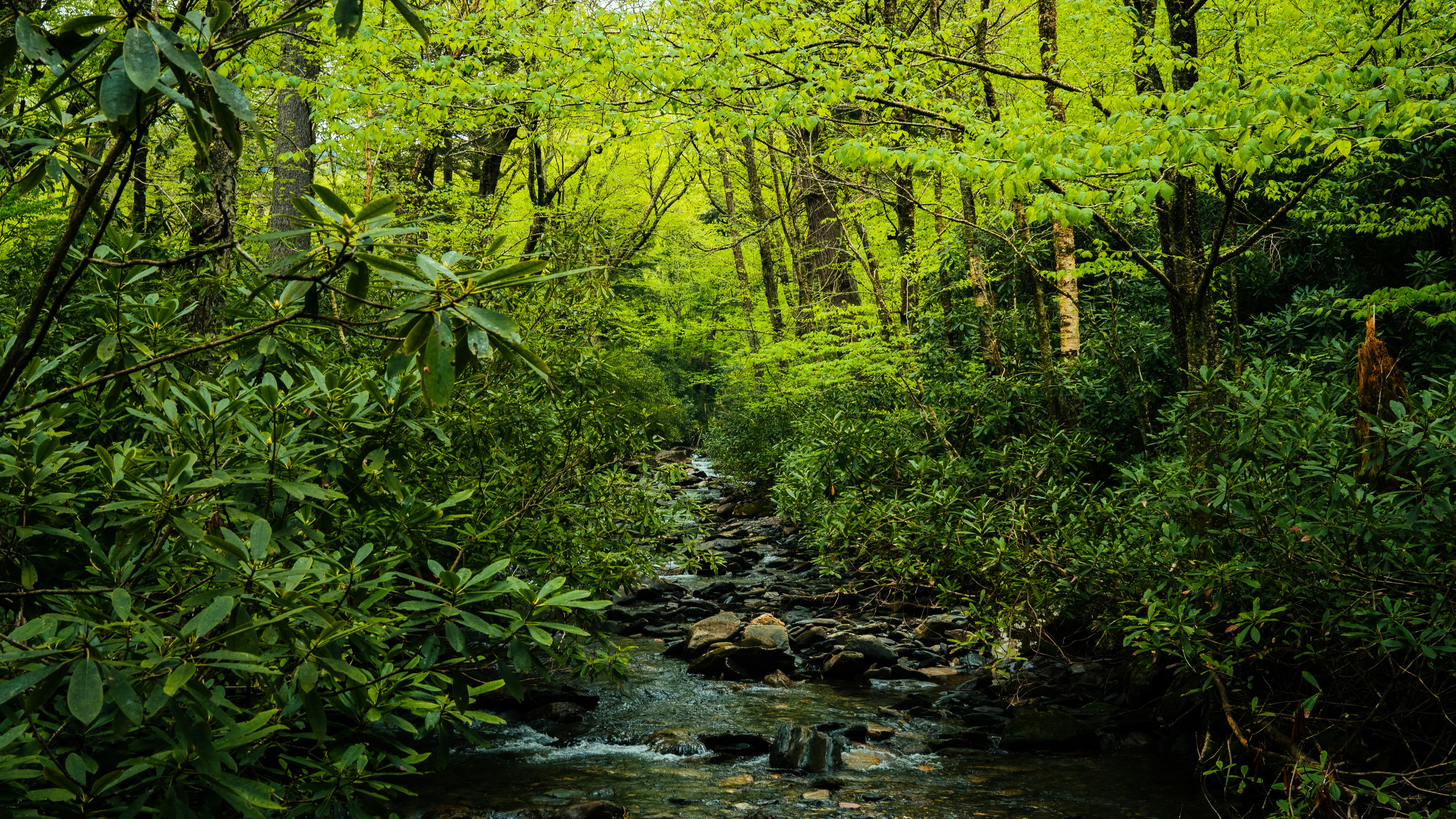 Photo by calebflores_photo