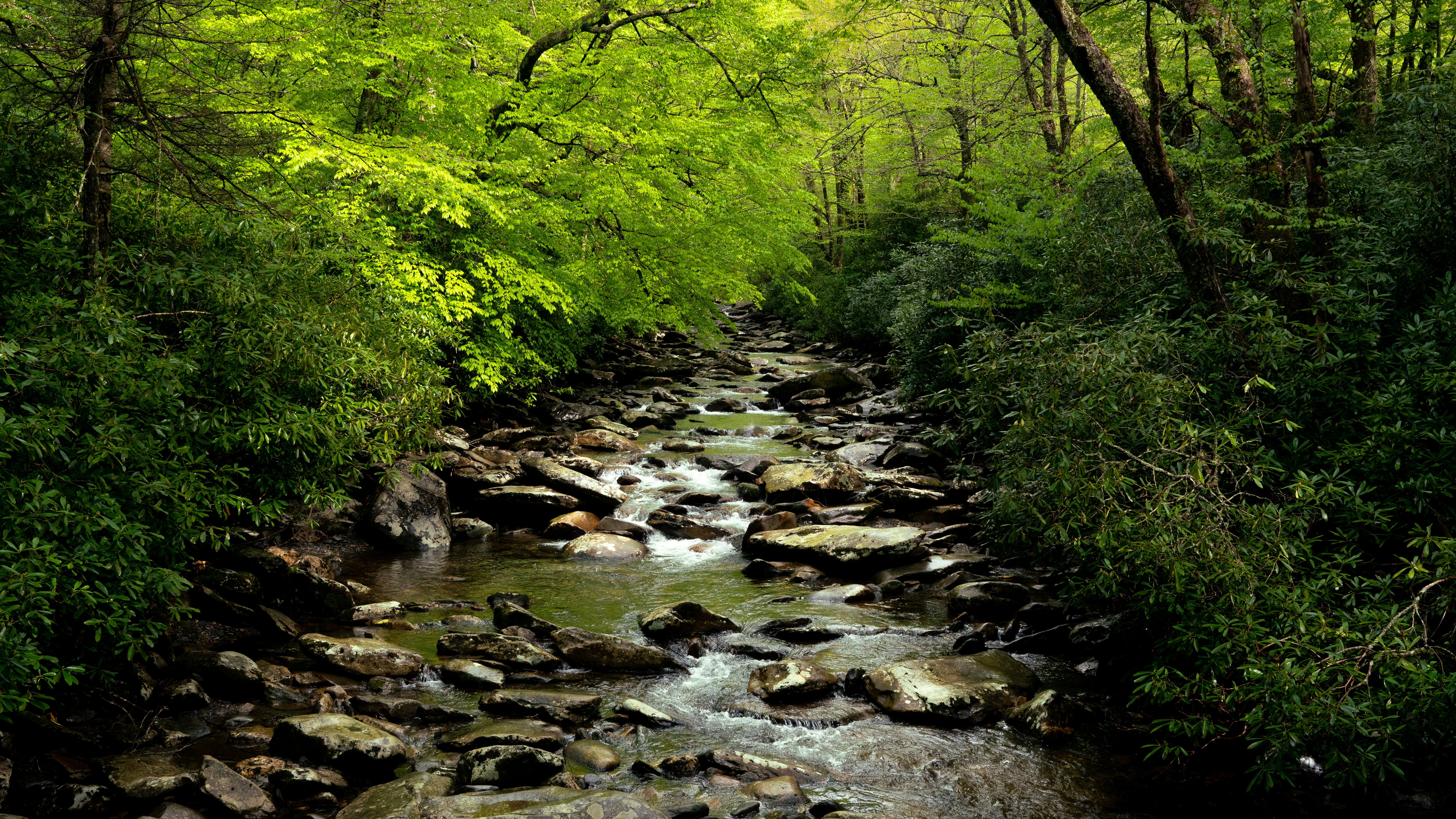 Photo by calebflores_photo