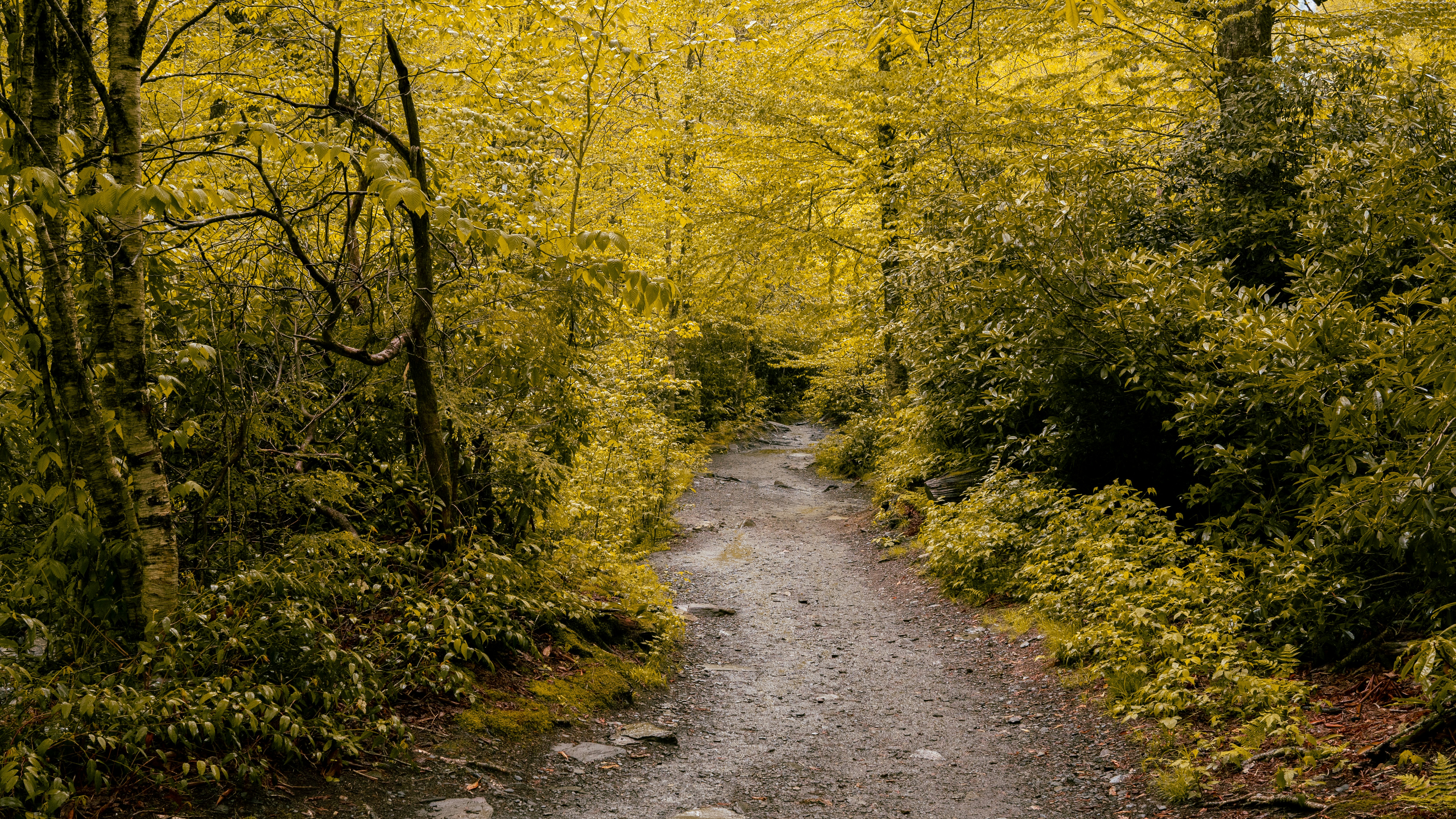 Photo by calebflores_photo