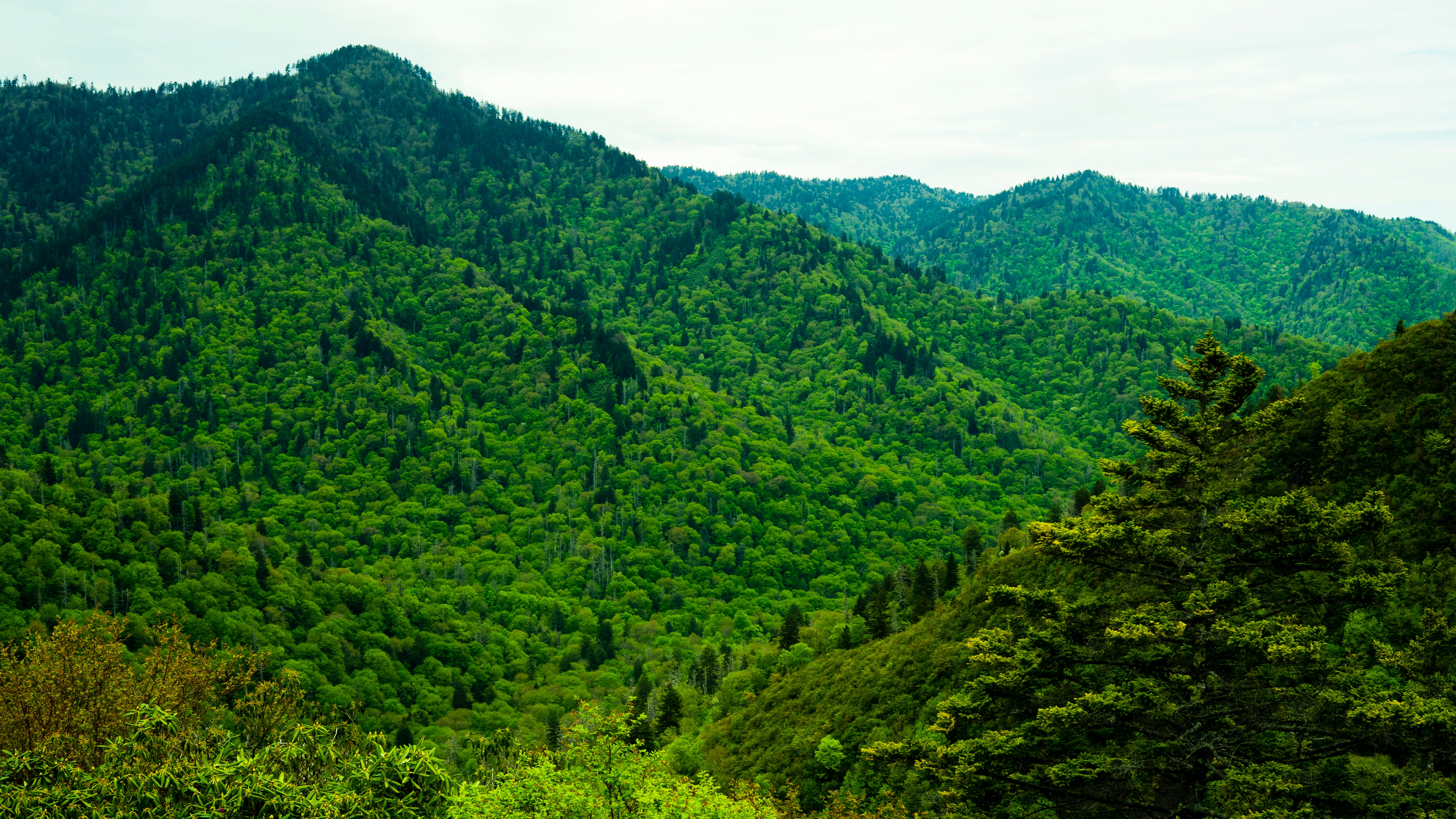 Photo by calebflores_photo