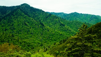 A vibrant landscape of the Democratic Republic of Congo showcasing lush greenery and mineral-rich mountains.