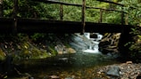 A rustic wooden bridge crossing a bubbling creek surrounded by lush greenery.