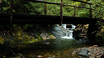 A rustic wooden bridge crossing a bubbling creek surrounded by lush greenery.