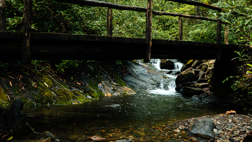 A rustic wooden bridge crossing a gentle stream surrounded by dense greenery.