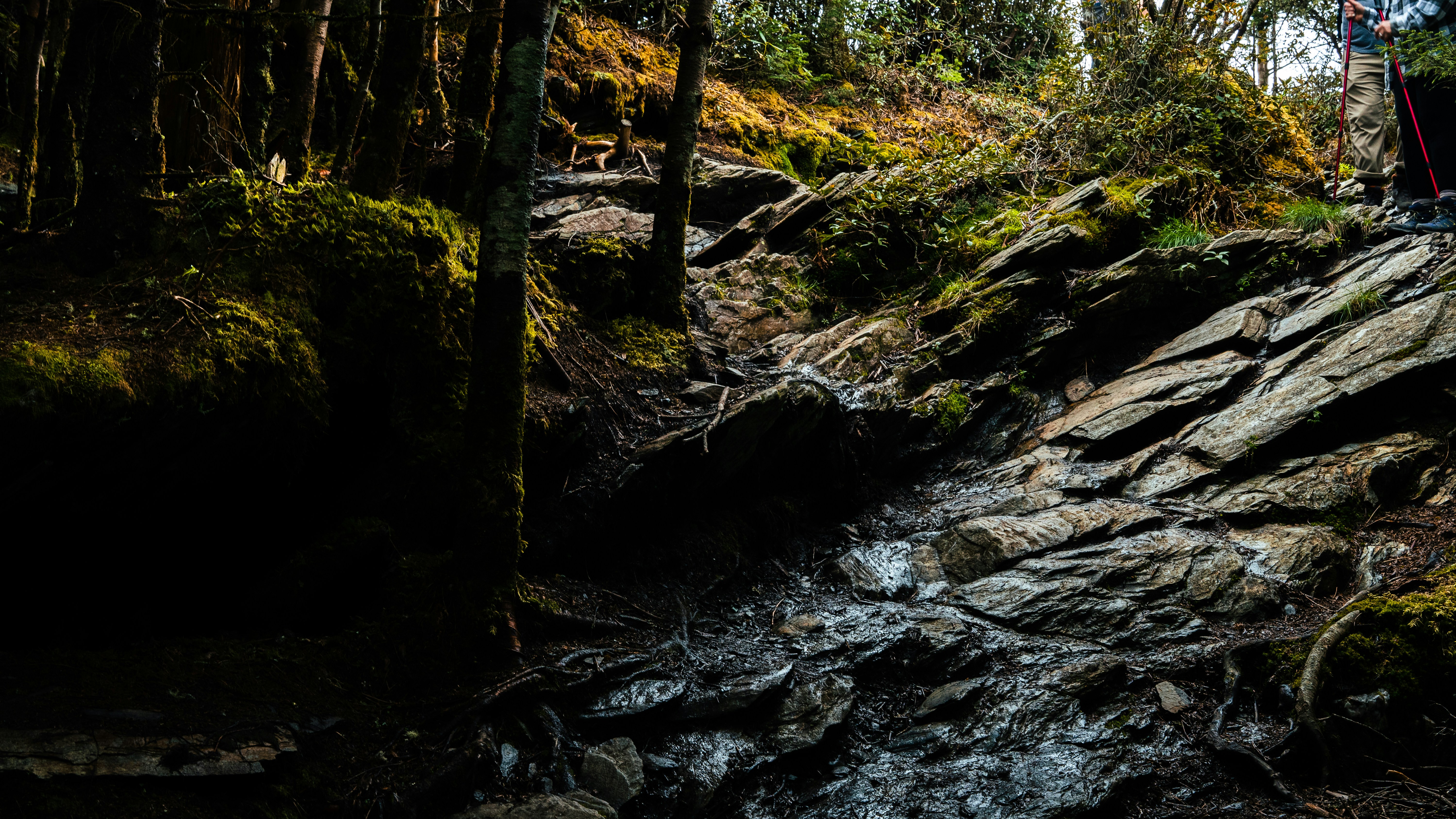 Photo by calebflores_photo