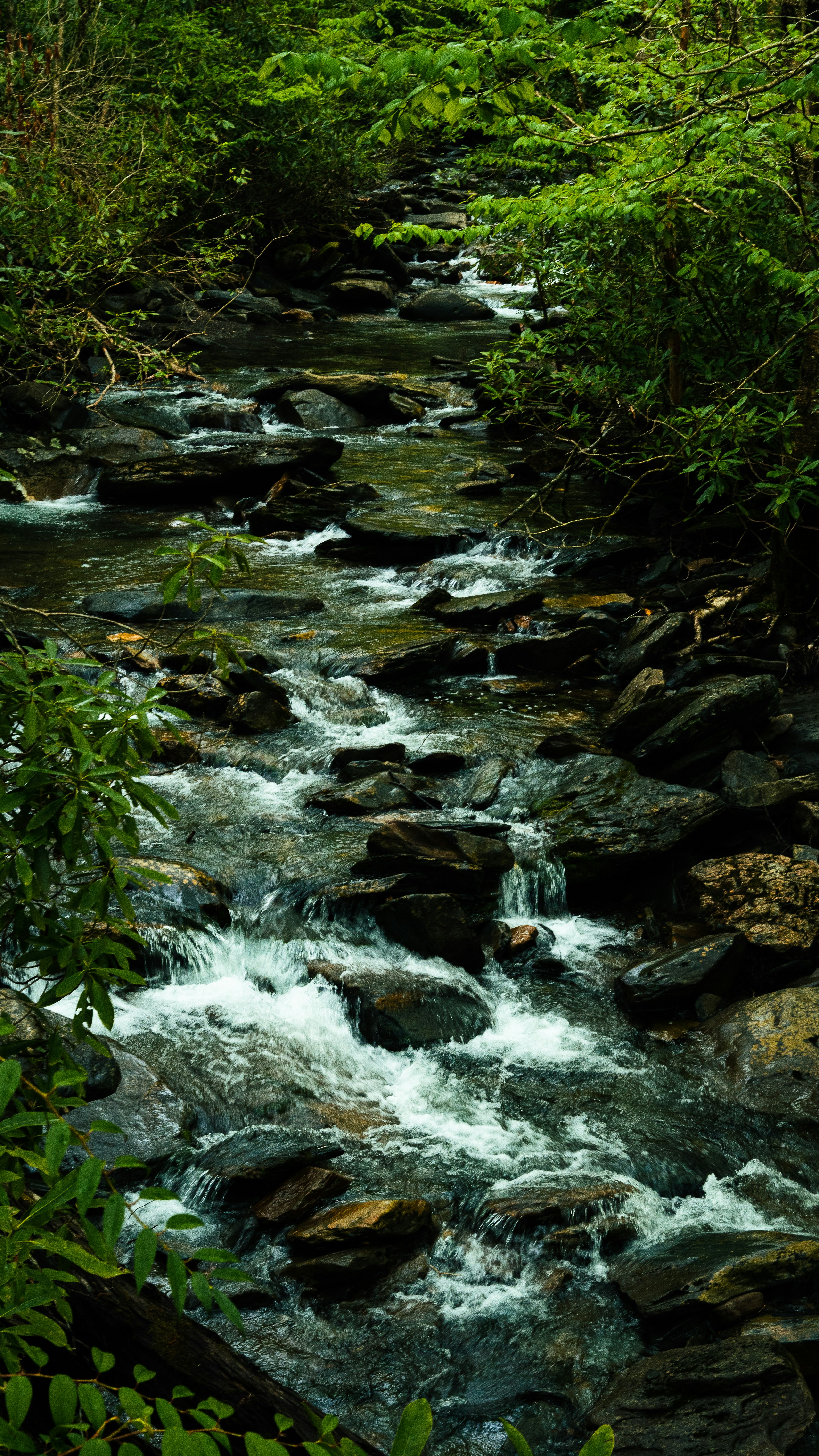 How To Build a Low-Impact River Trip Business from Grand Canyon Base Camps — 2026 Playbook