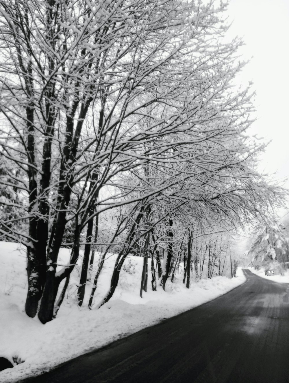 Une photo en noir et blanc d’une route enneigée