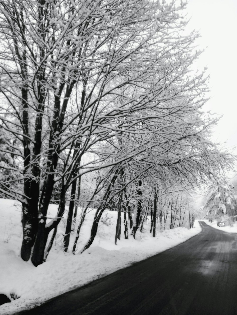 a black and white photo of a snowy road