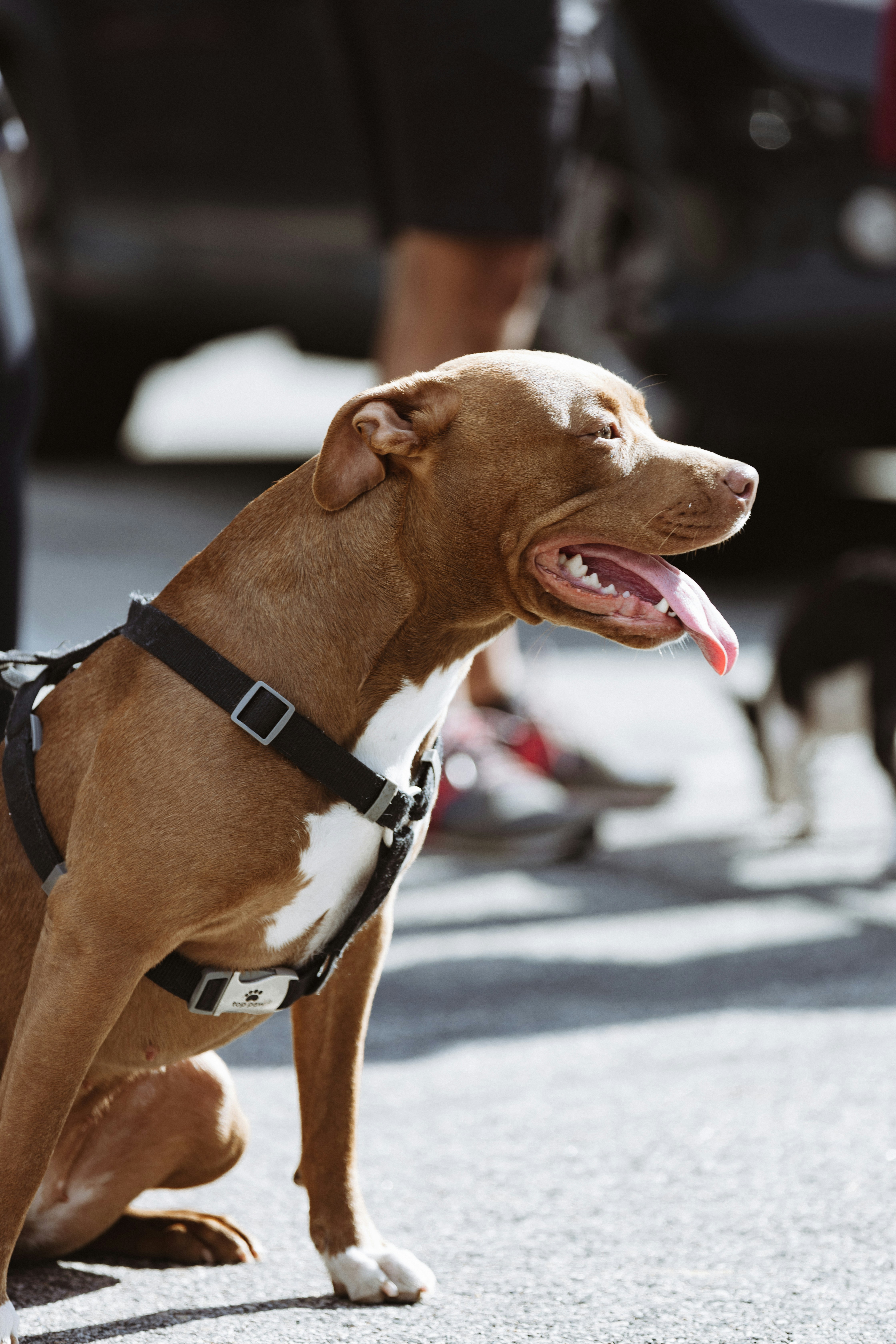 Photo by donovan_valdivia