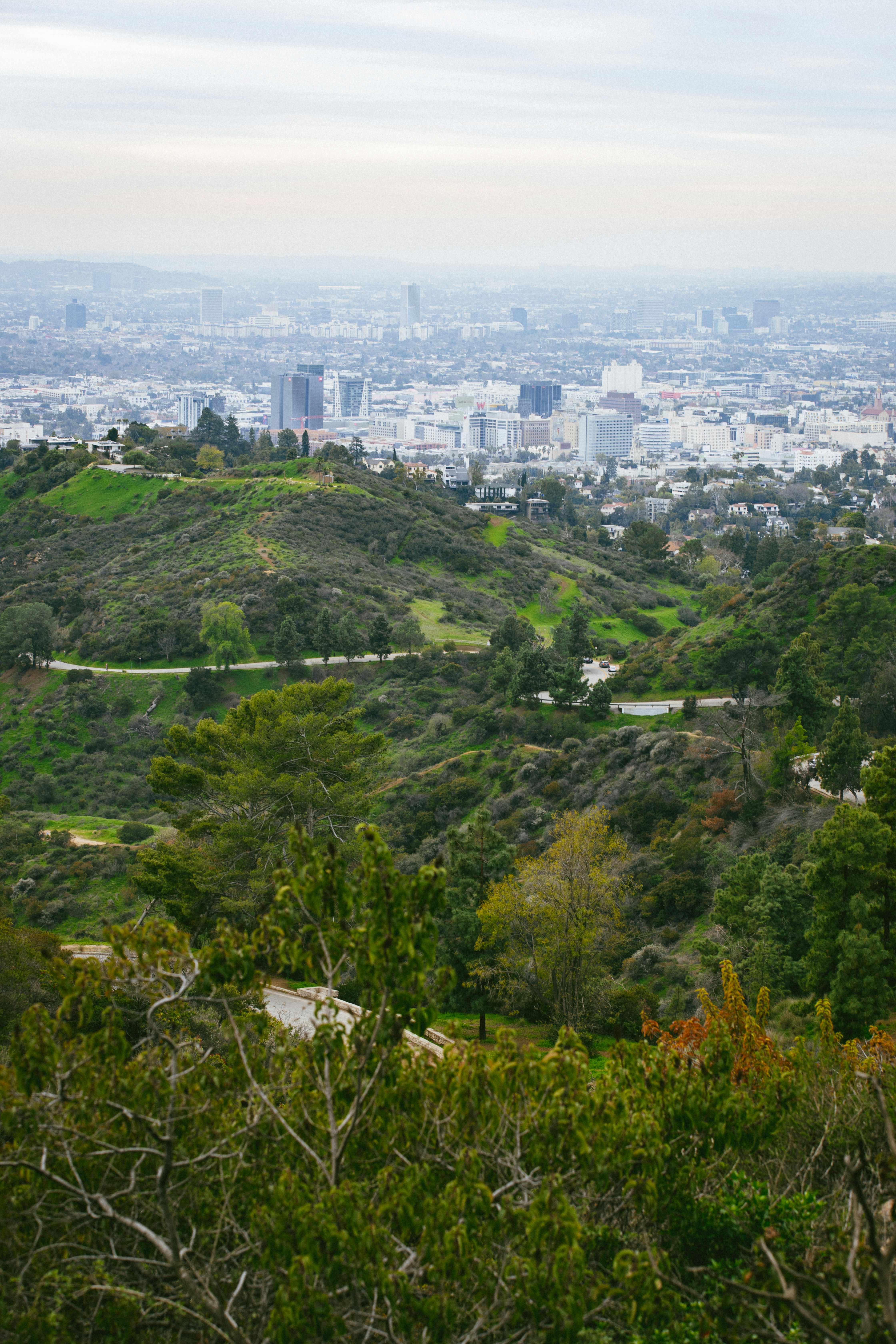 Photo by donovan_valdivia