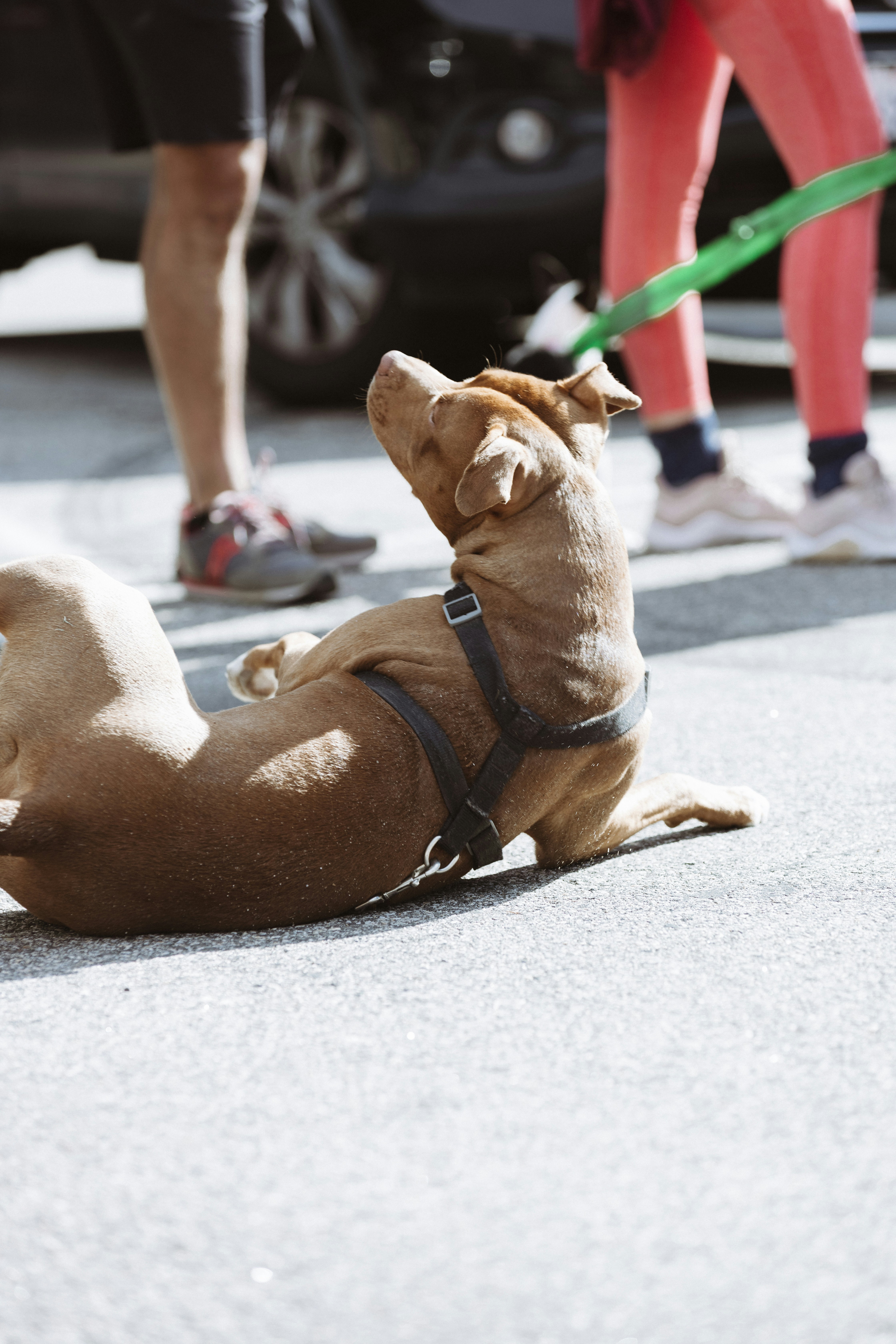 Photo by donovan_valdivia