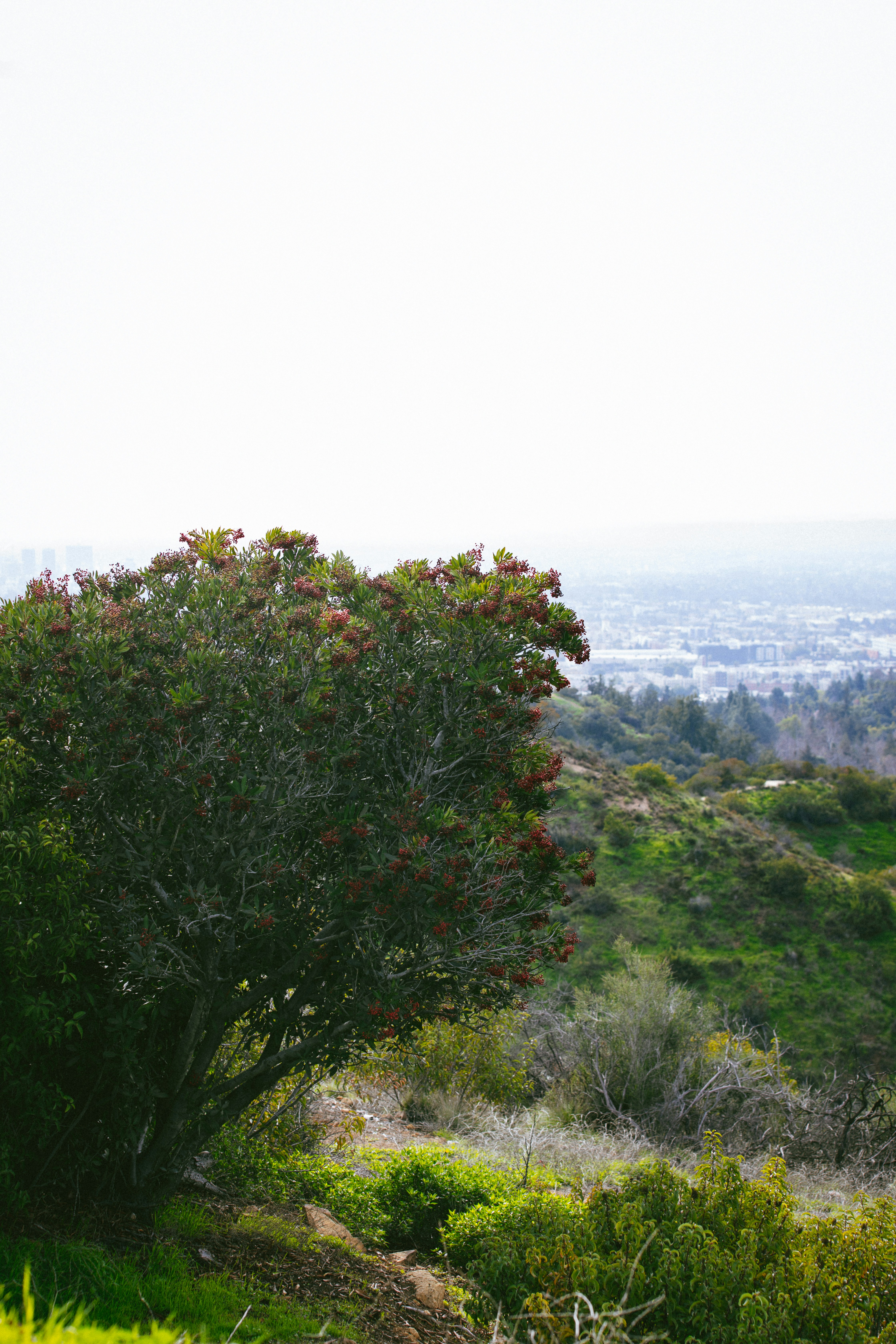 Photo by donovan_valdivia