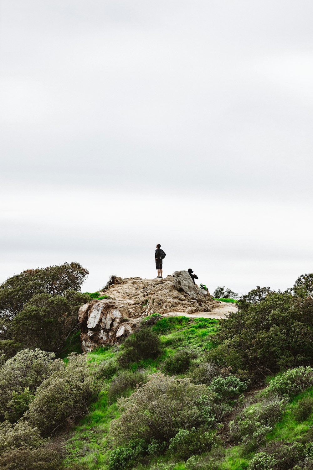 a man standing on top of a lush green hillside