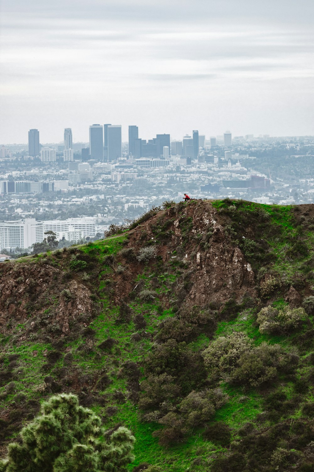 a view of a city from the top of a hill