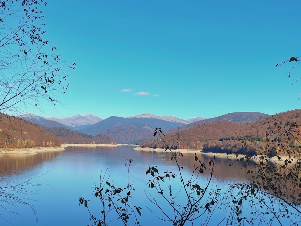 a body of water surrounded by mountains and trees