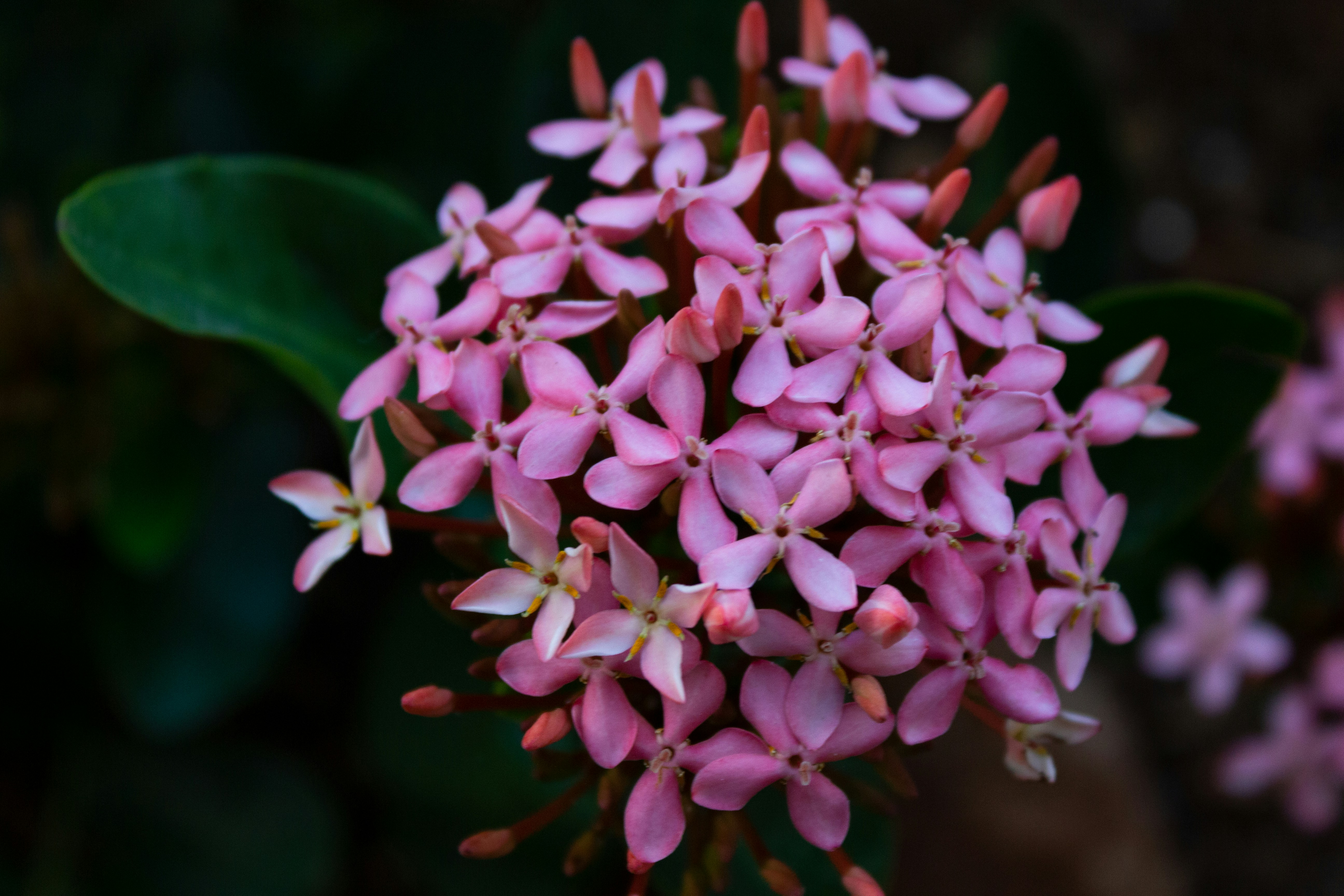 Photo by nipun_photography_unsplash