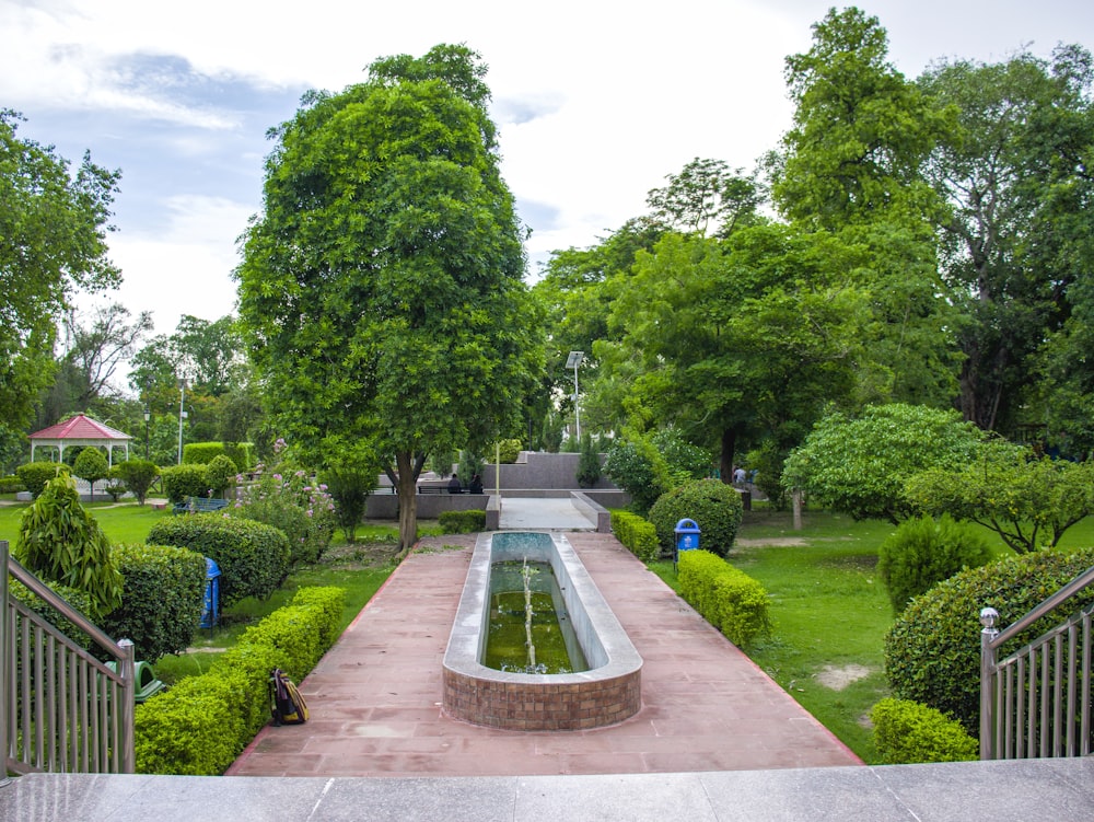 a garden with a fountain surrounded by trees