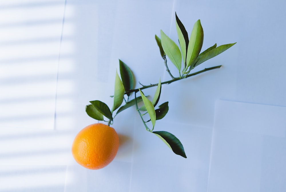 an orange with leaves on a white surface