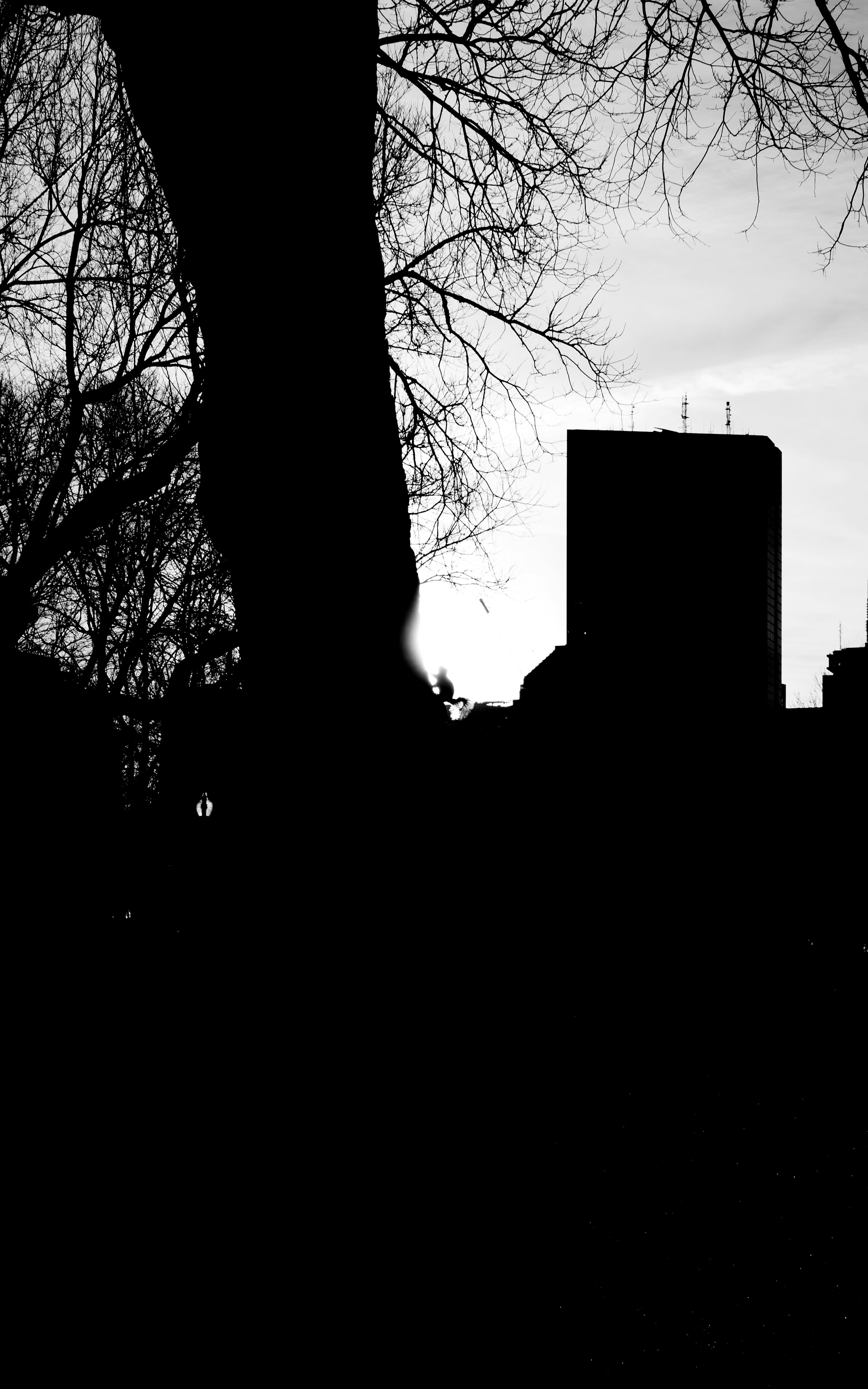 Photo by eddyyyyyyyyyy