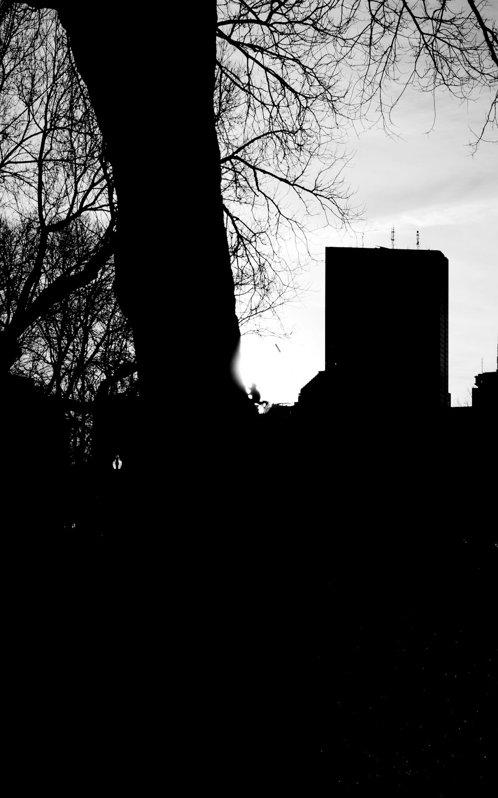 a black and white photo of a city skyline