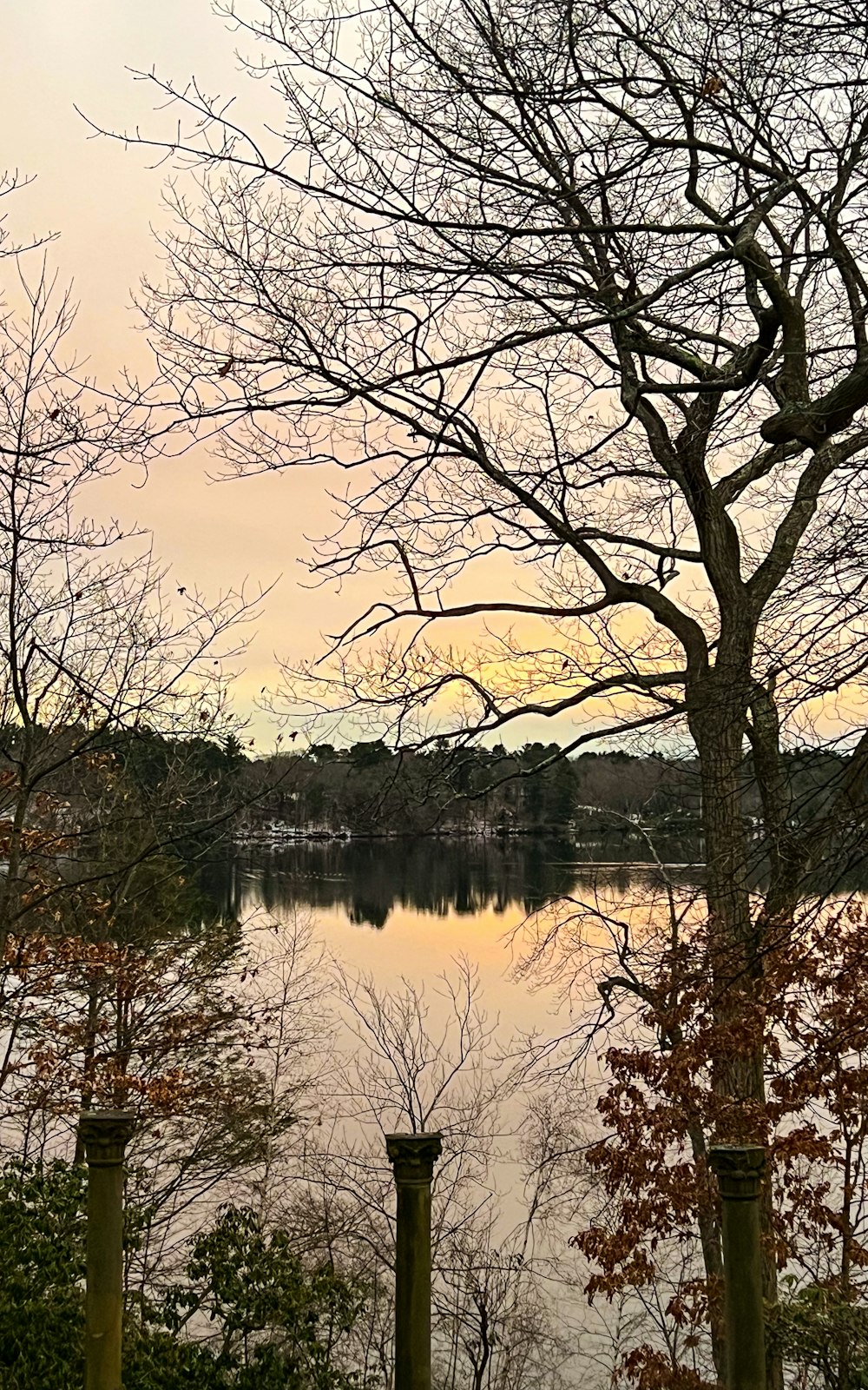 a lake surrounded by trees with no leaves