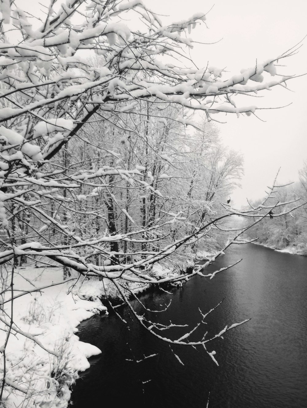 Une photo en noir et blanc d’une rivière dans la neige