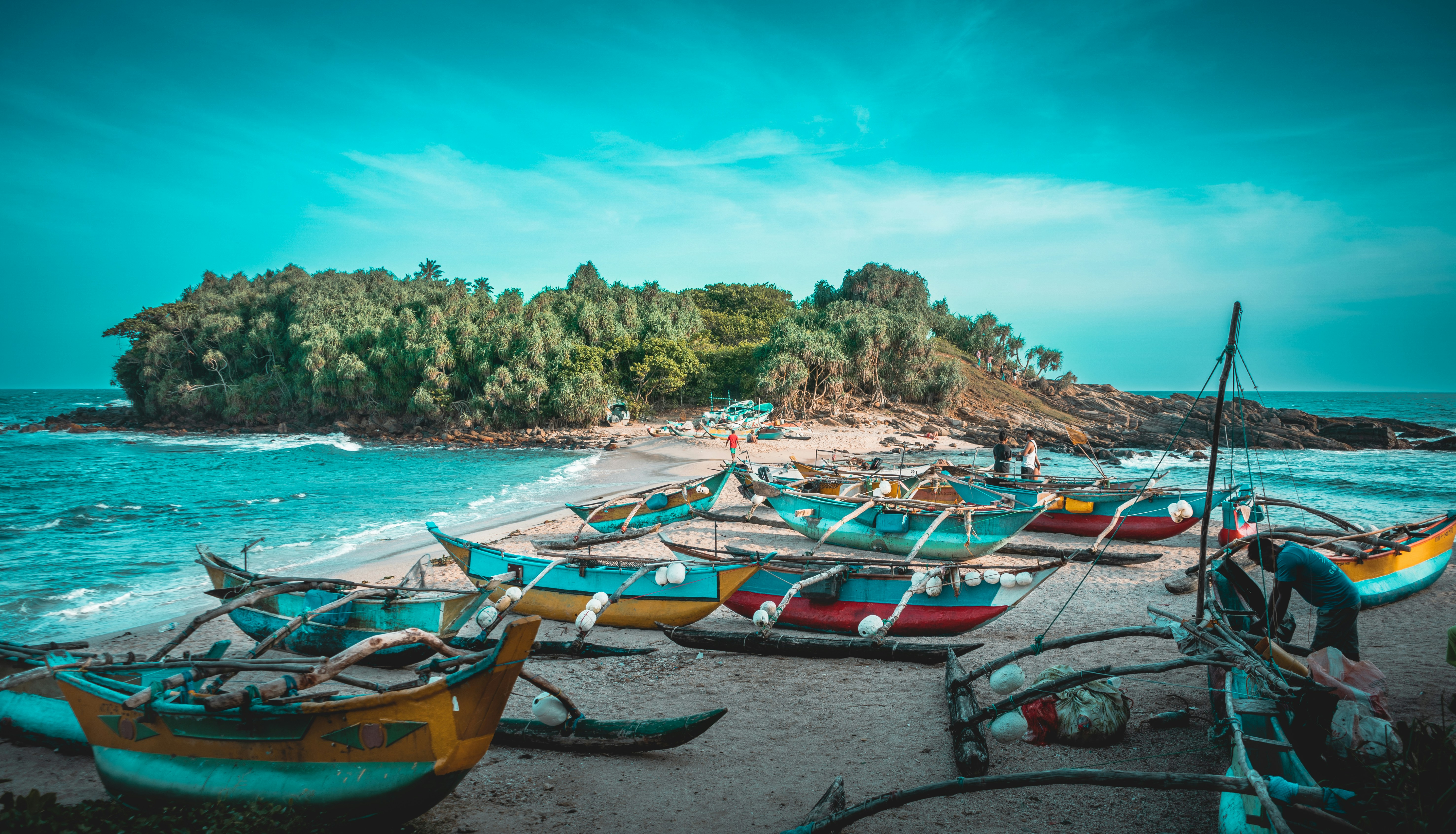 Photo by anupauthsara