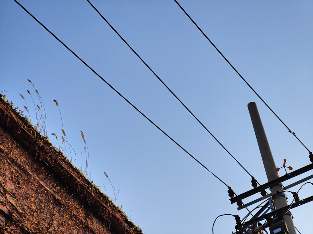 a red brick wall and power lines against a blue sky