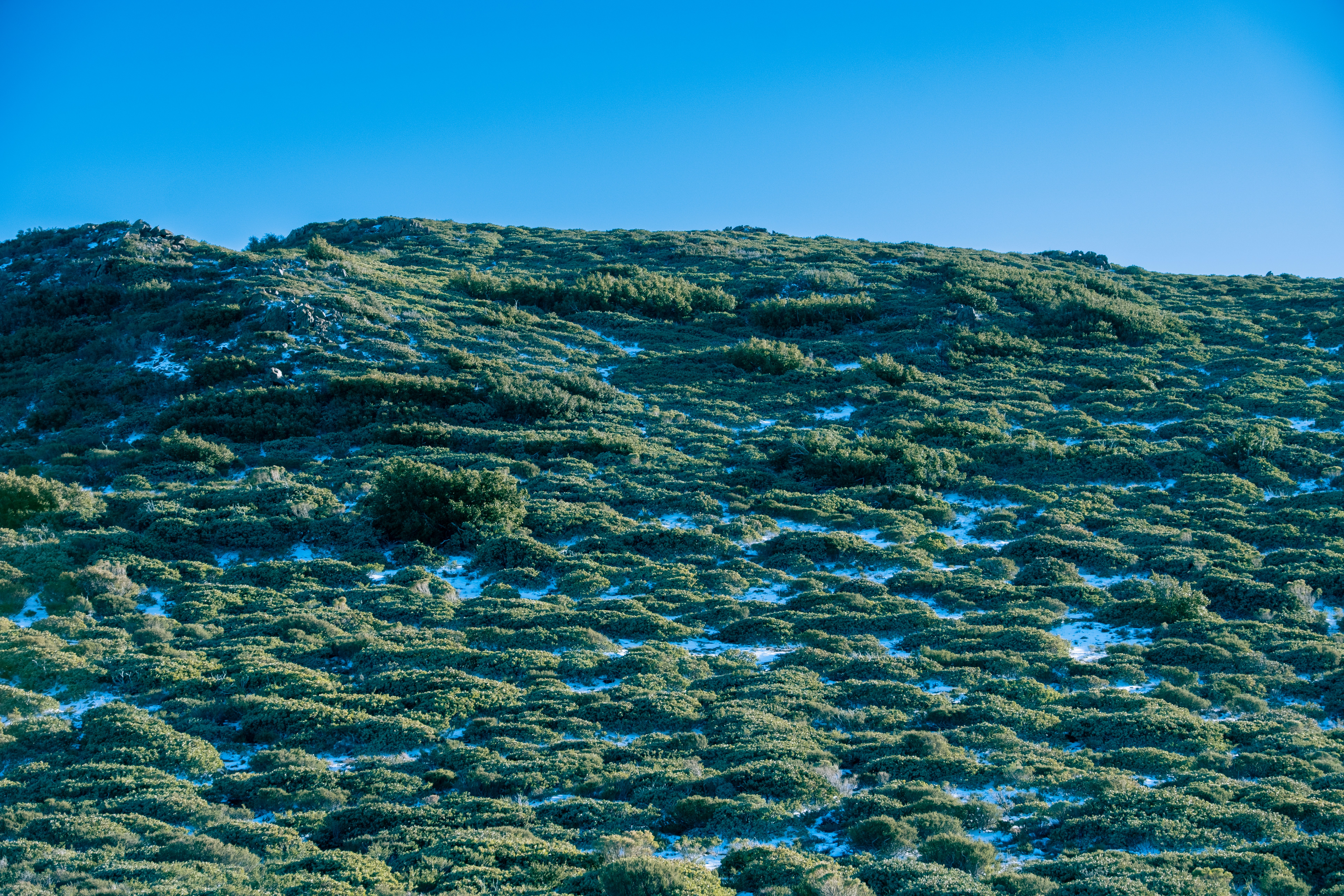 Photo by april_vasquez