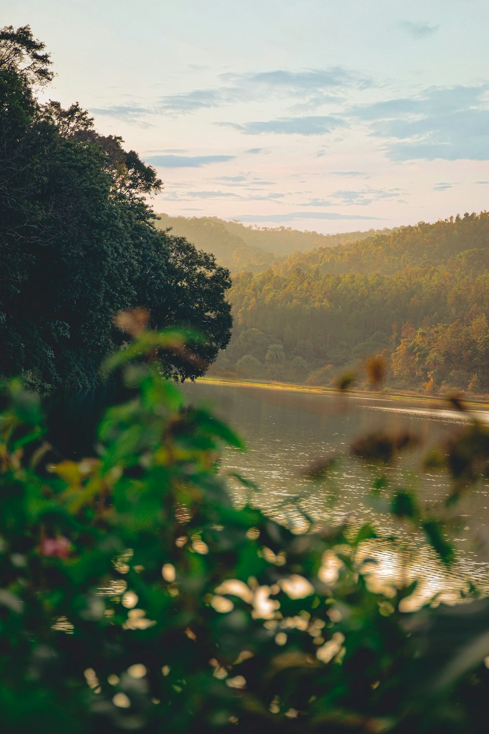 a body of water surrounded by trees and hills