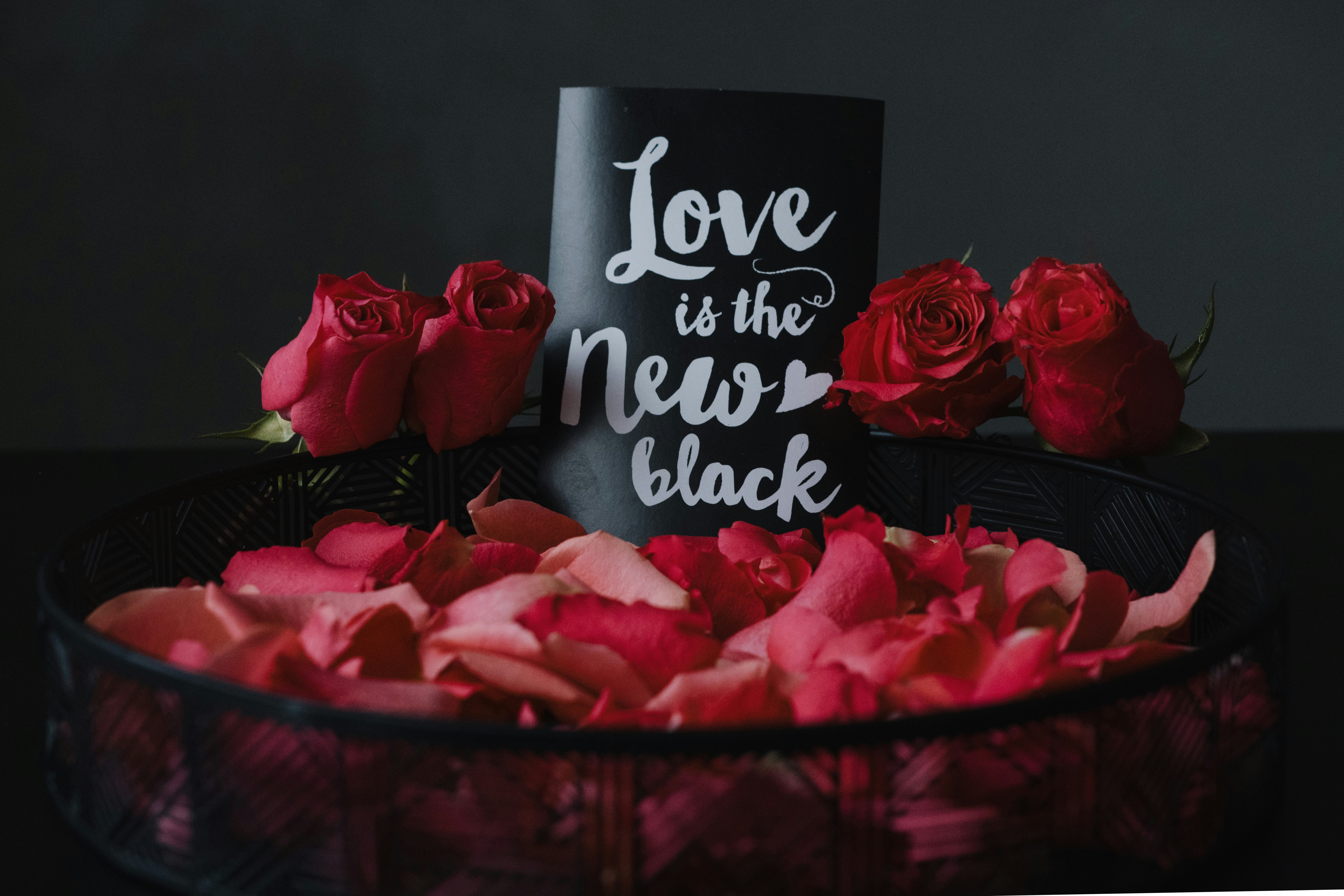 الحب ما يعرفش جنسية.. لكن القانون ليه كلمته في ليبيا! بطريقة قانونية وآمنة