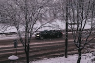 A snowy urban scene with a dark car driving on a slushy road. Bare tree branches, covered in snow, frame the view alongside a snow-dusted trash bin and road signs.