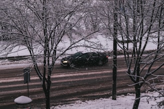 A snowy urban scene with a dark car driving on a slushy road. Bare tree branches, covered in snow, frame the view alongside a snow-dusted trash bin and road signs.