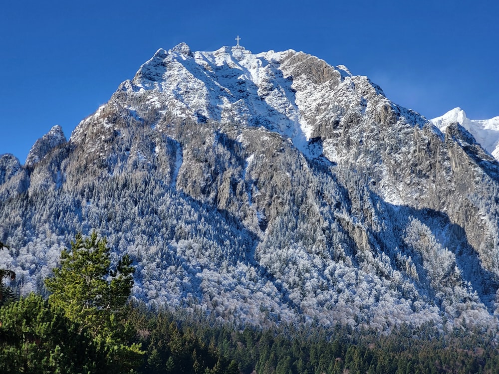 a snow covered mountain with trees in the foreground