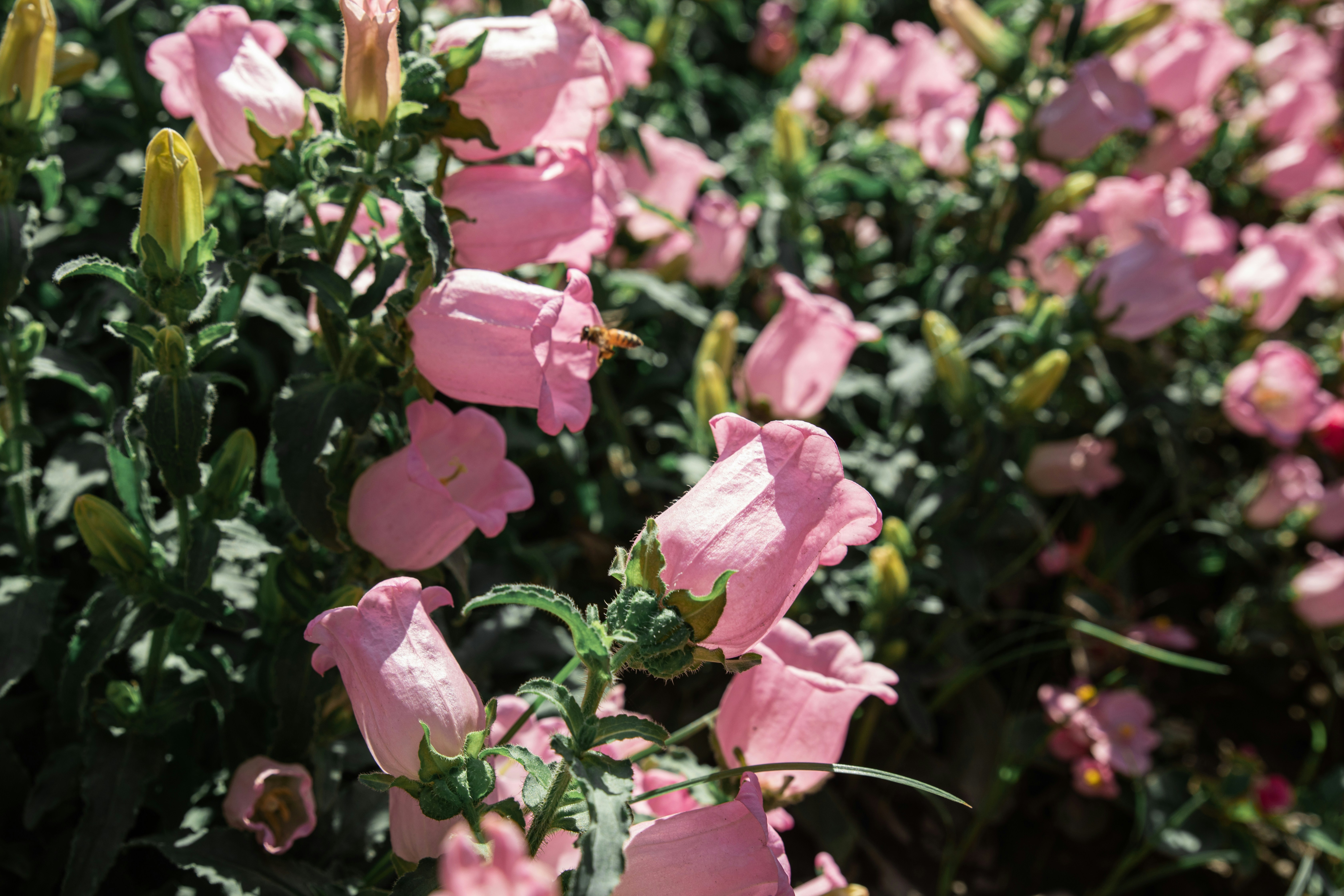 Photo by color0911