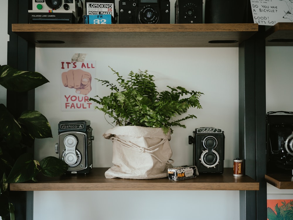 a shelf filled with cameras and a plant