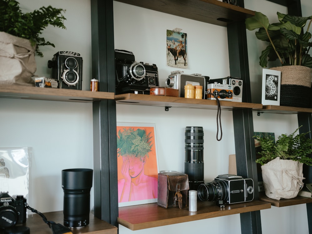 a couple of shelves filled with cameras and plants
