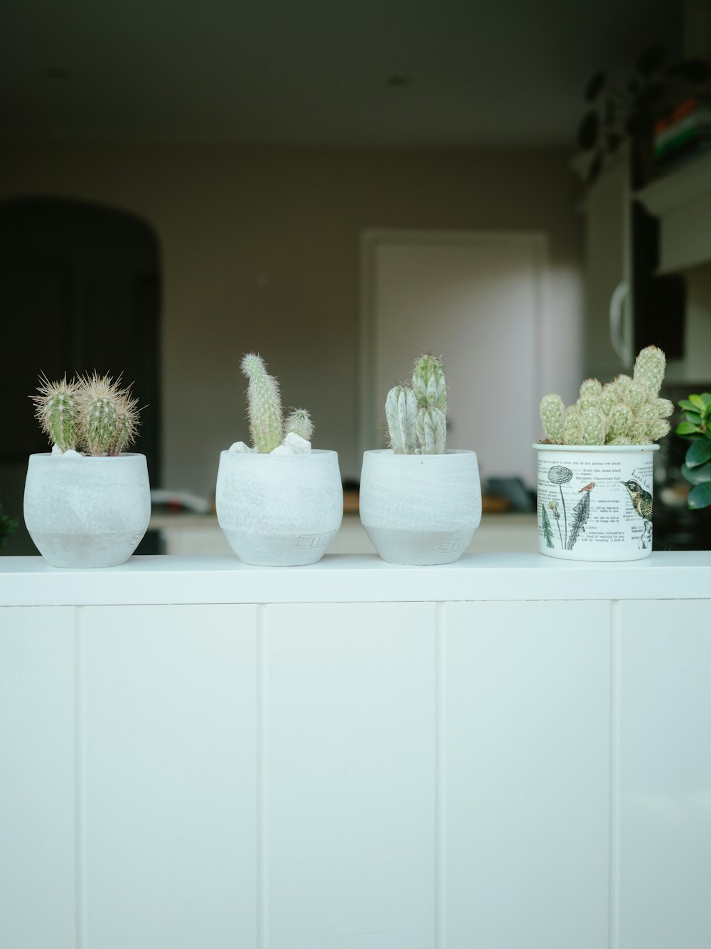 three white planters sitting on top of a counter