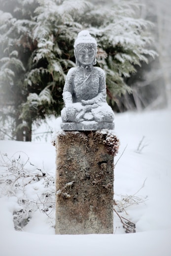 how to find a guru