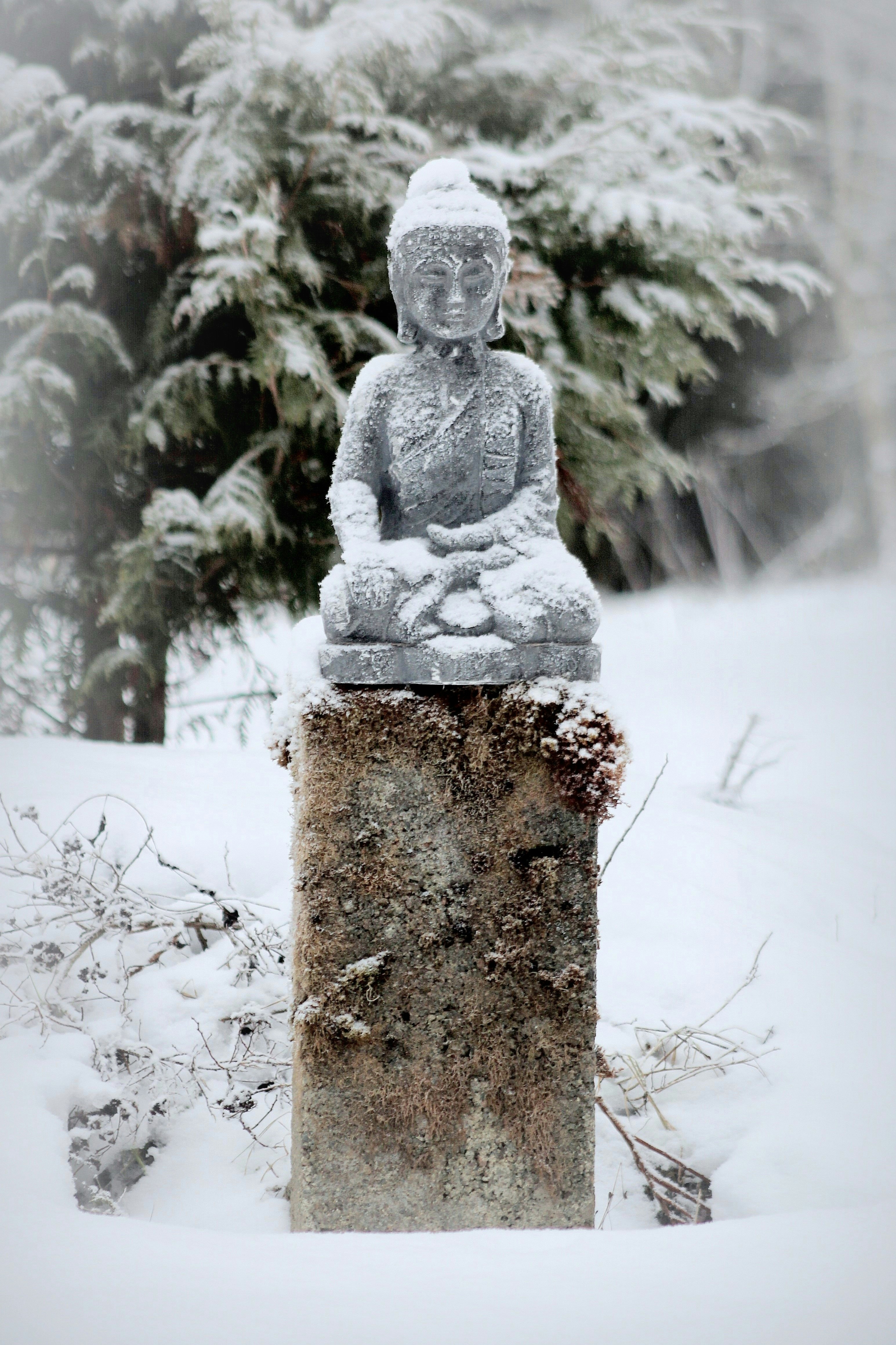 a statue of a buddha sitting in the snow