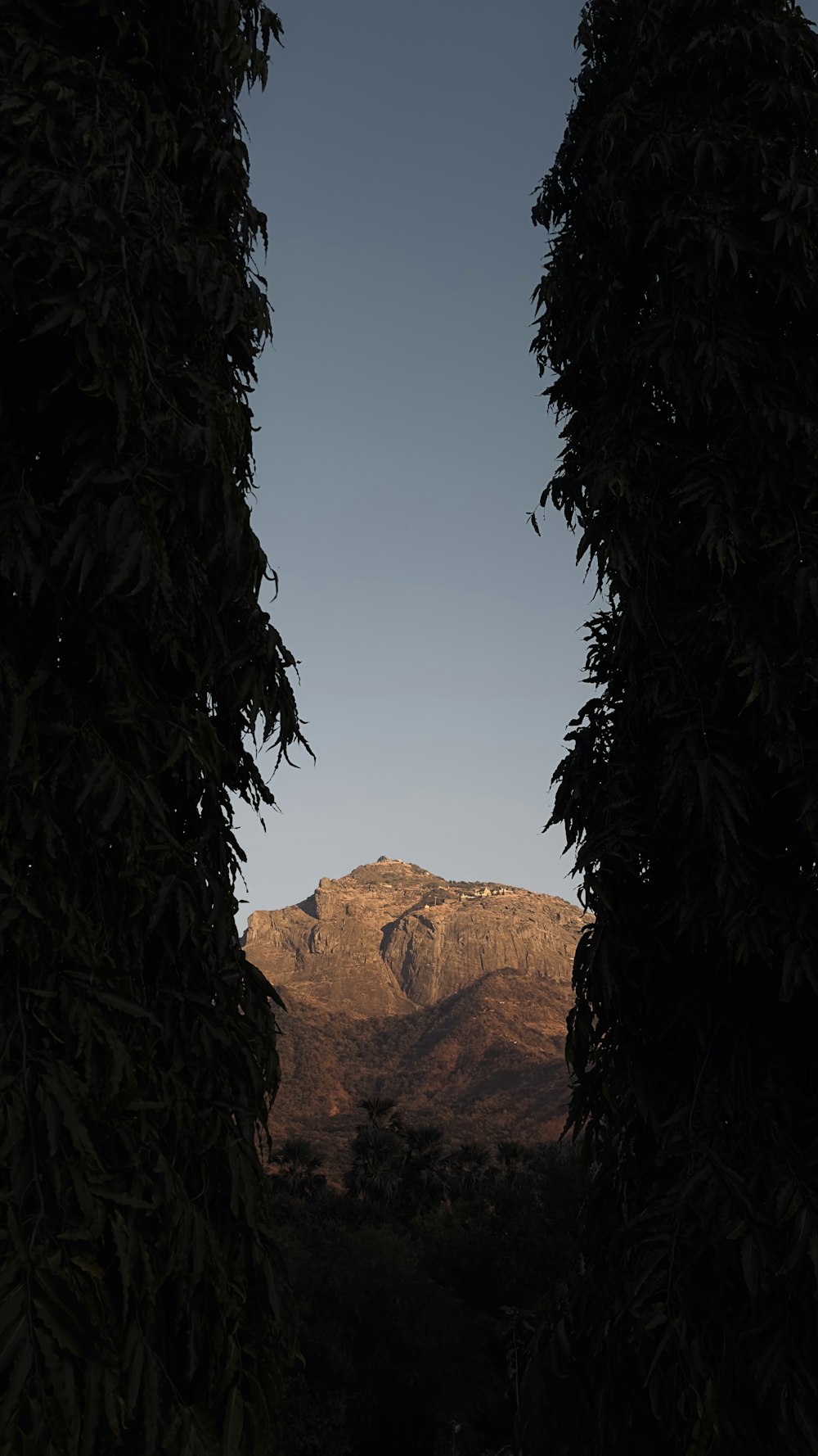 a view of a mountain through some trees
