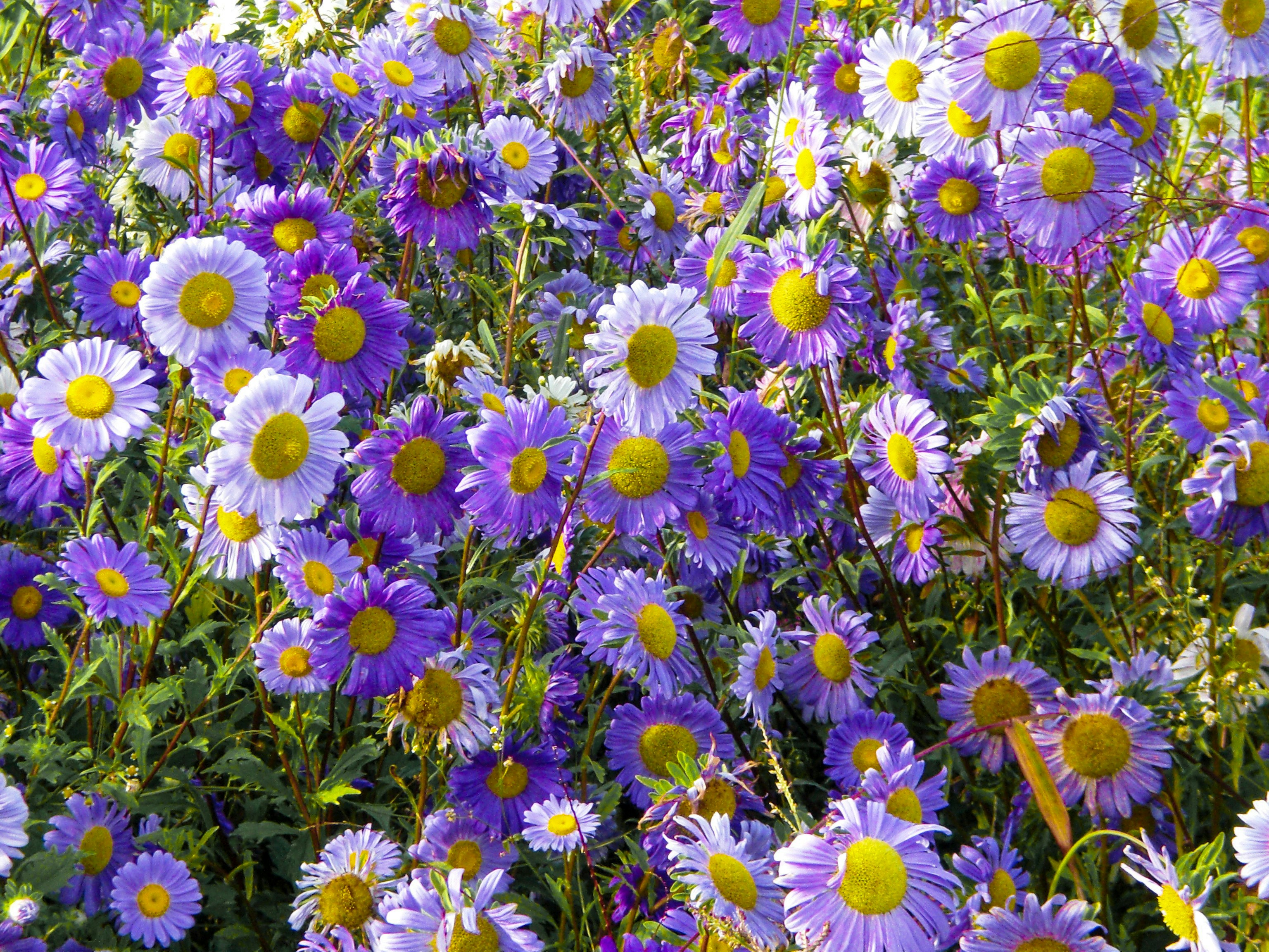 Photo by angelikaberger